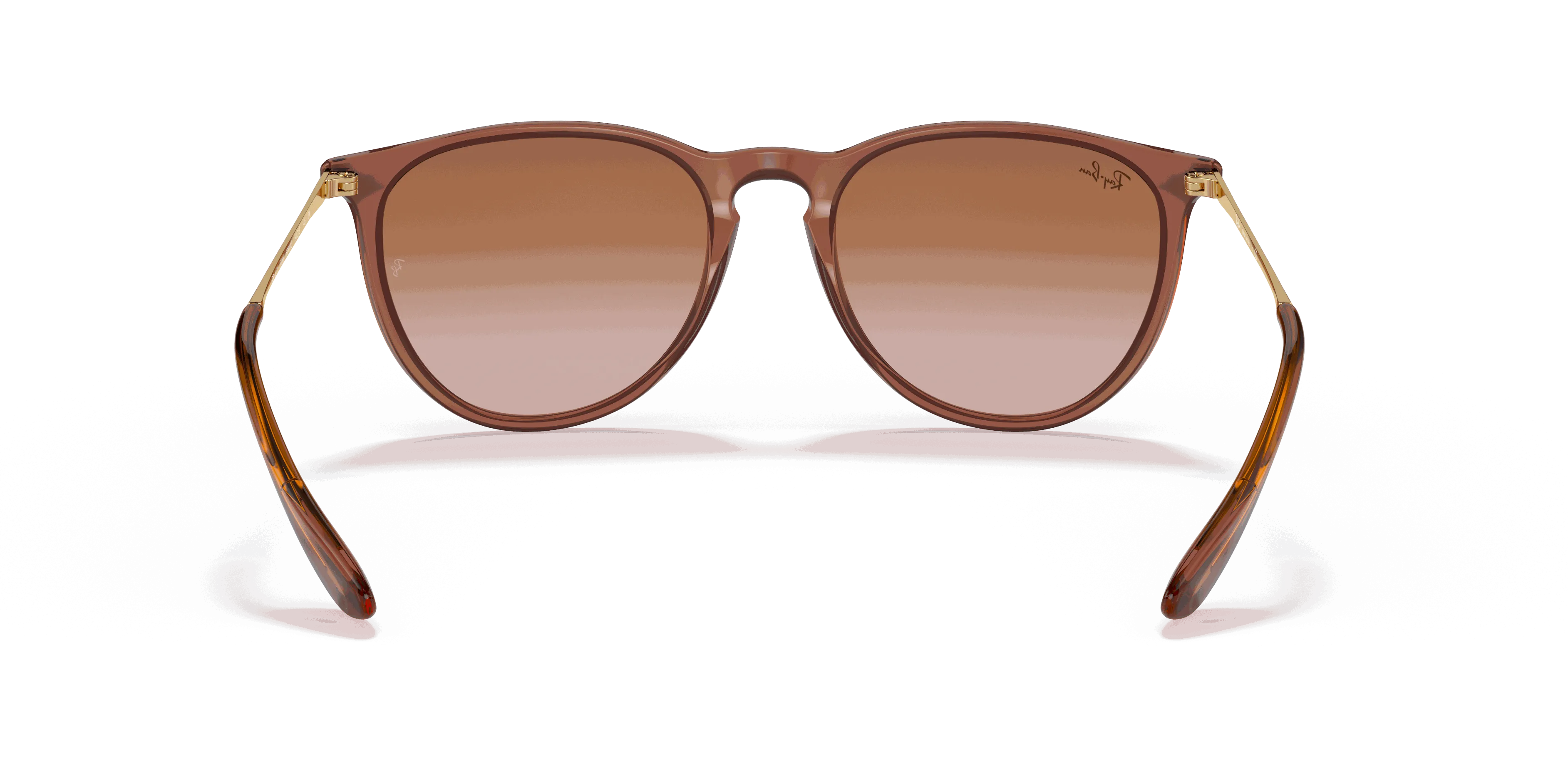 RayBan ERIKA CLASSIC
