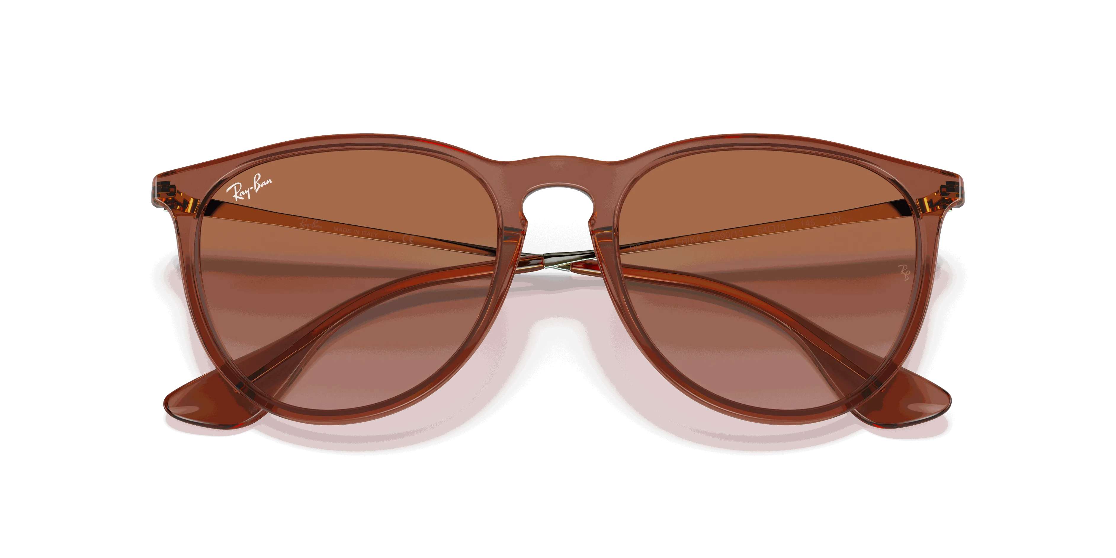 RayBan ERIKA CLASSIC