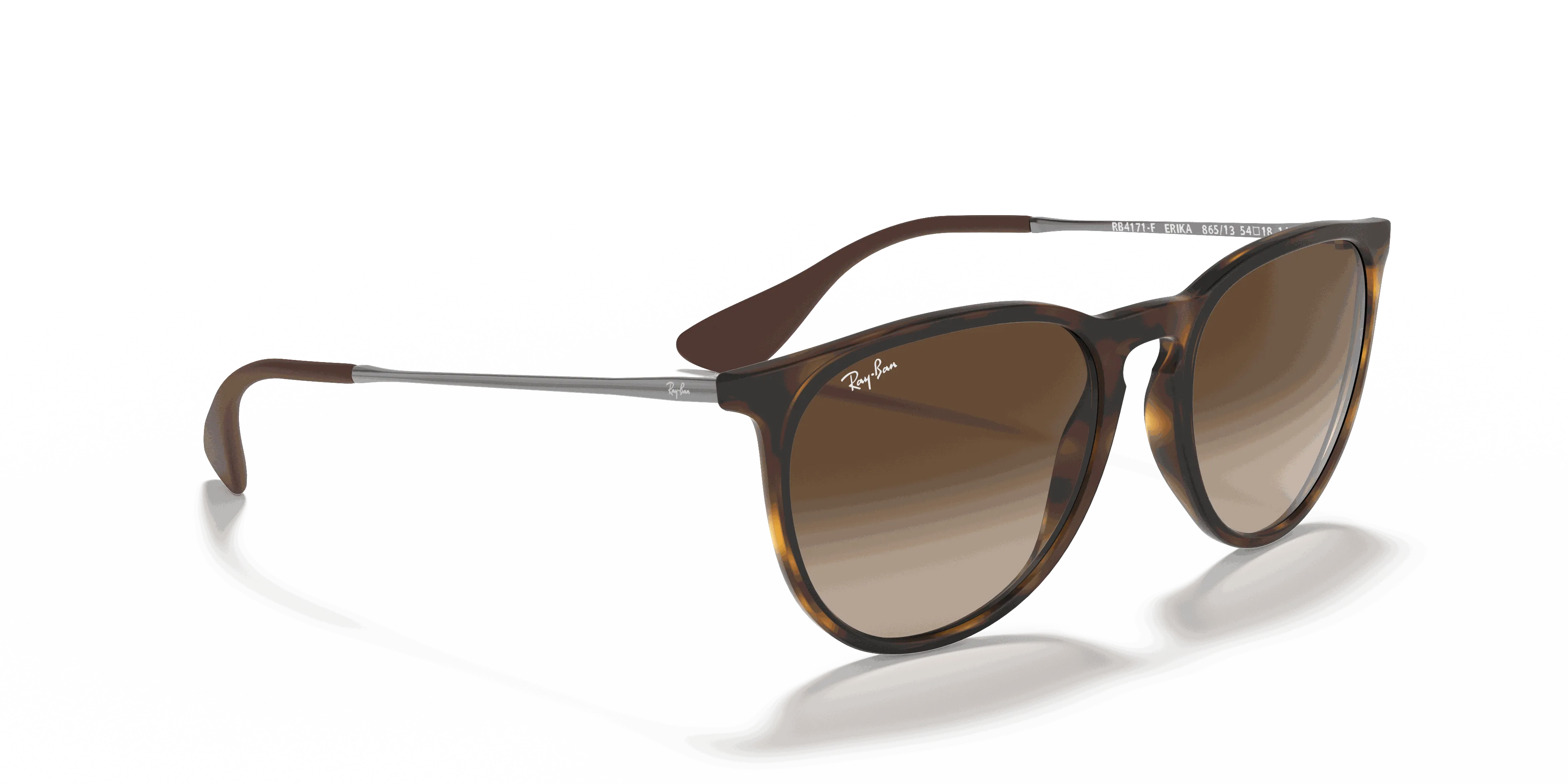 RayBan ERIKA CLASSIC