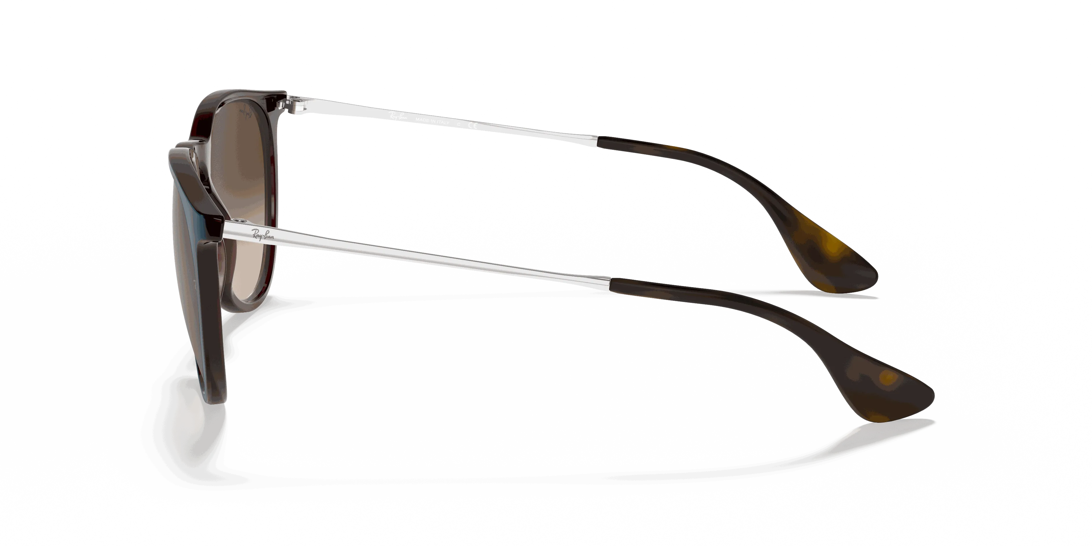 RayBan ERIKA CLASSIC