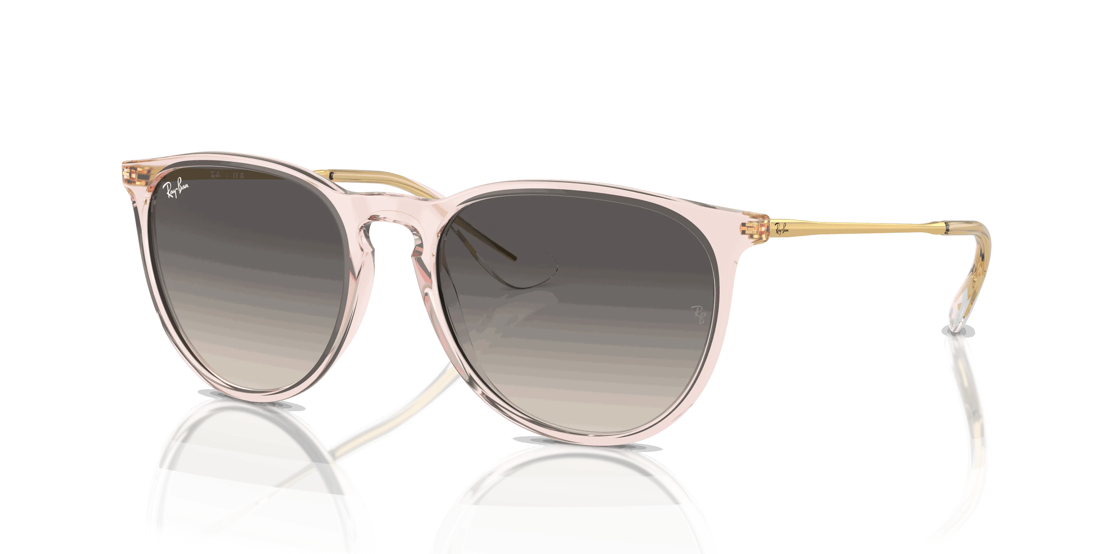 RayBan ERIKA CLASSIC