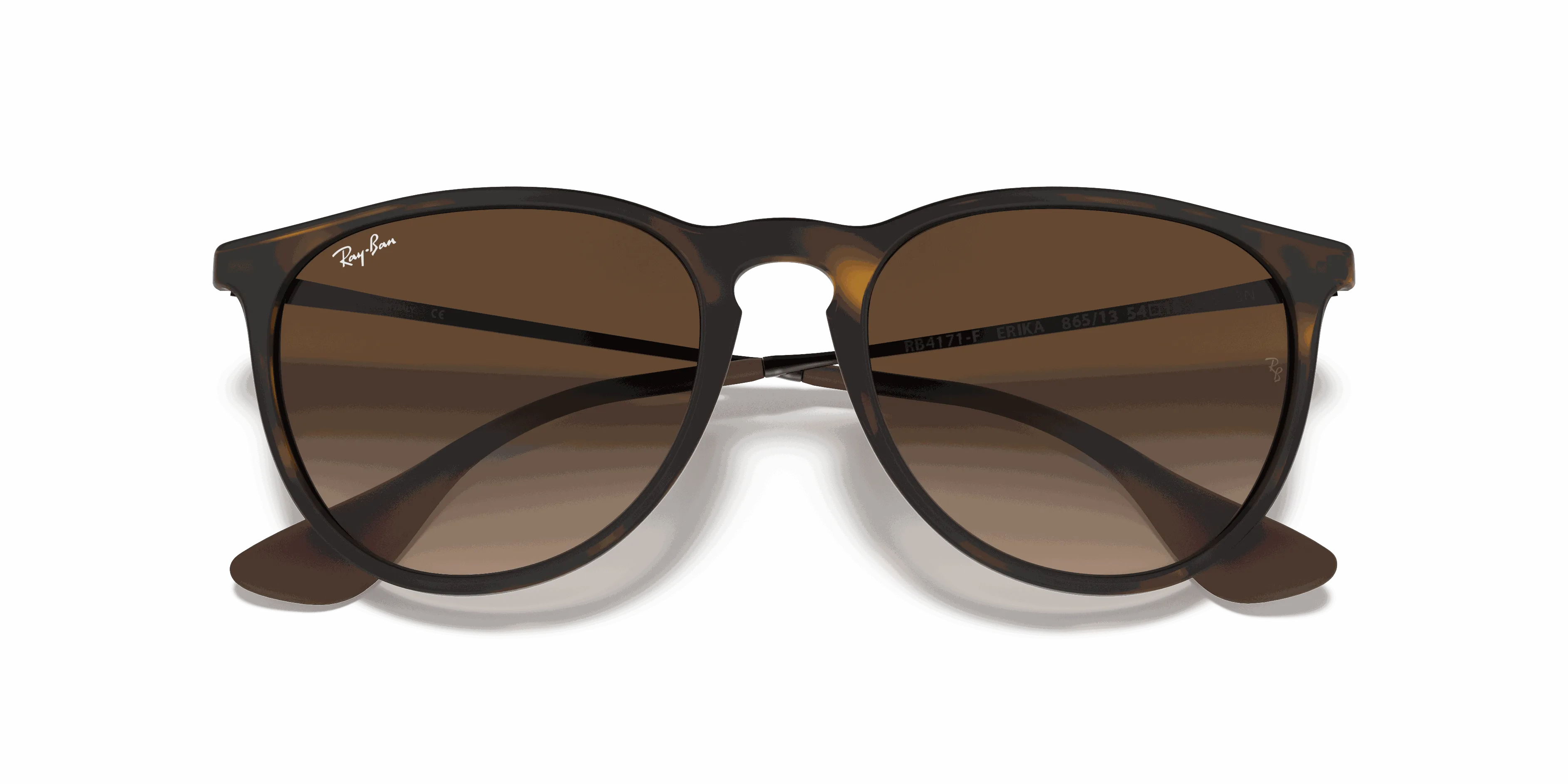 RayBan ERIKA CLASSIC