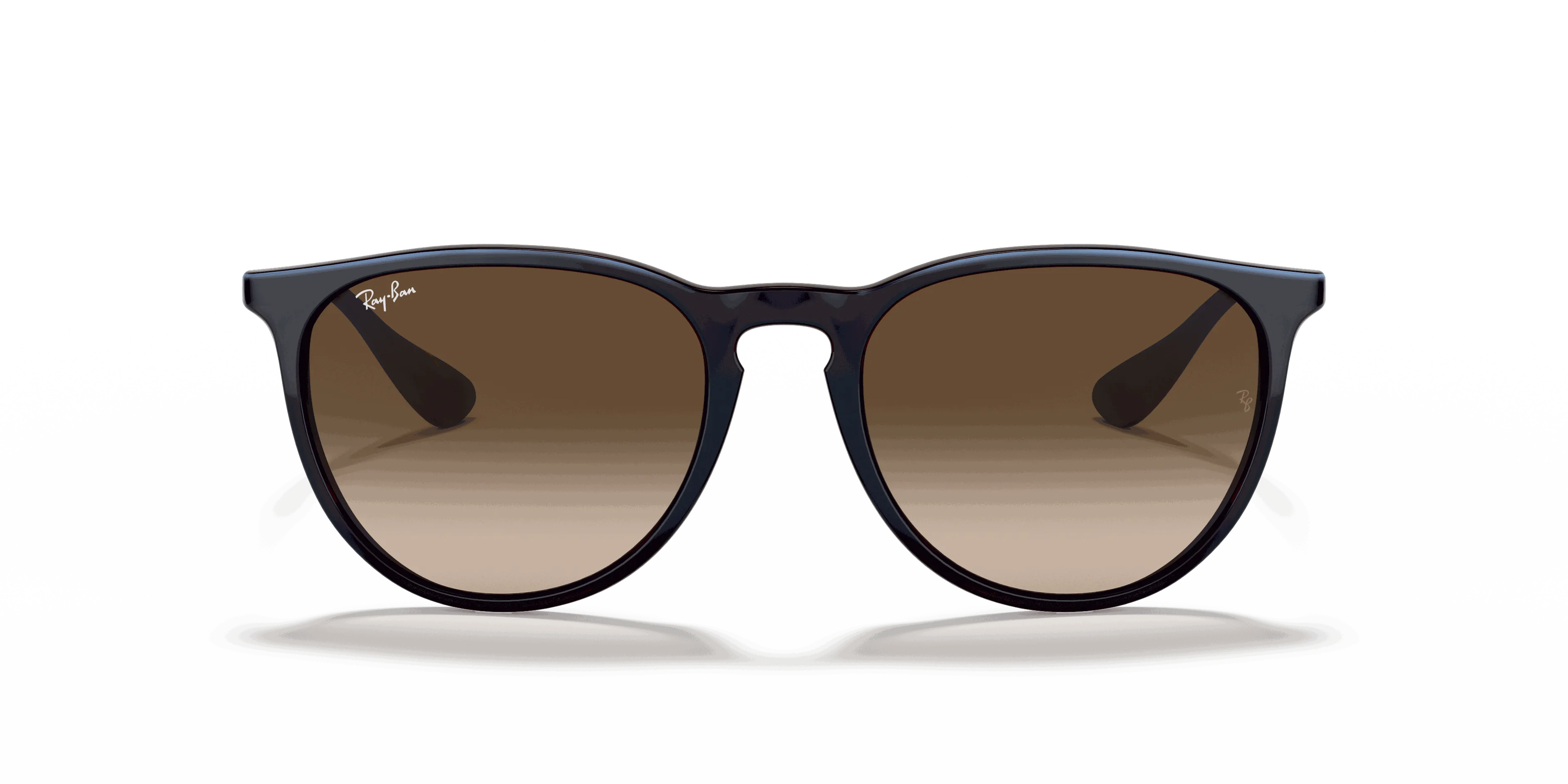 RayBan ERIKA CLASSIC
