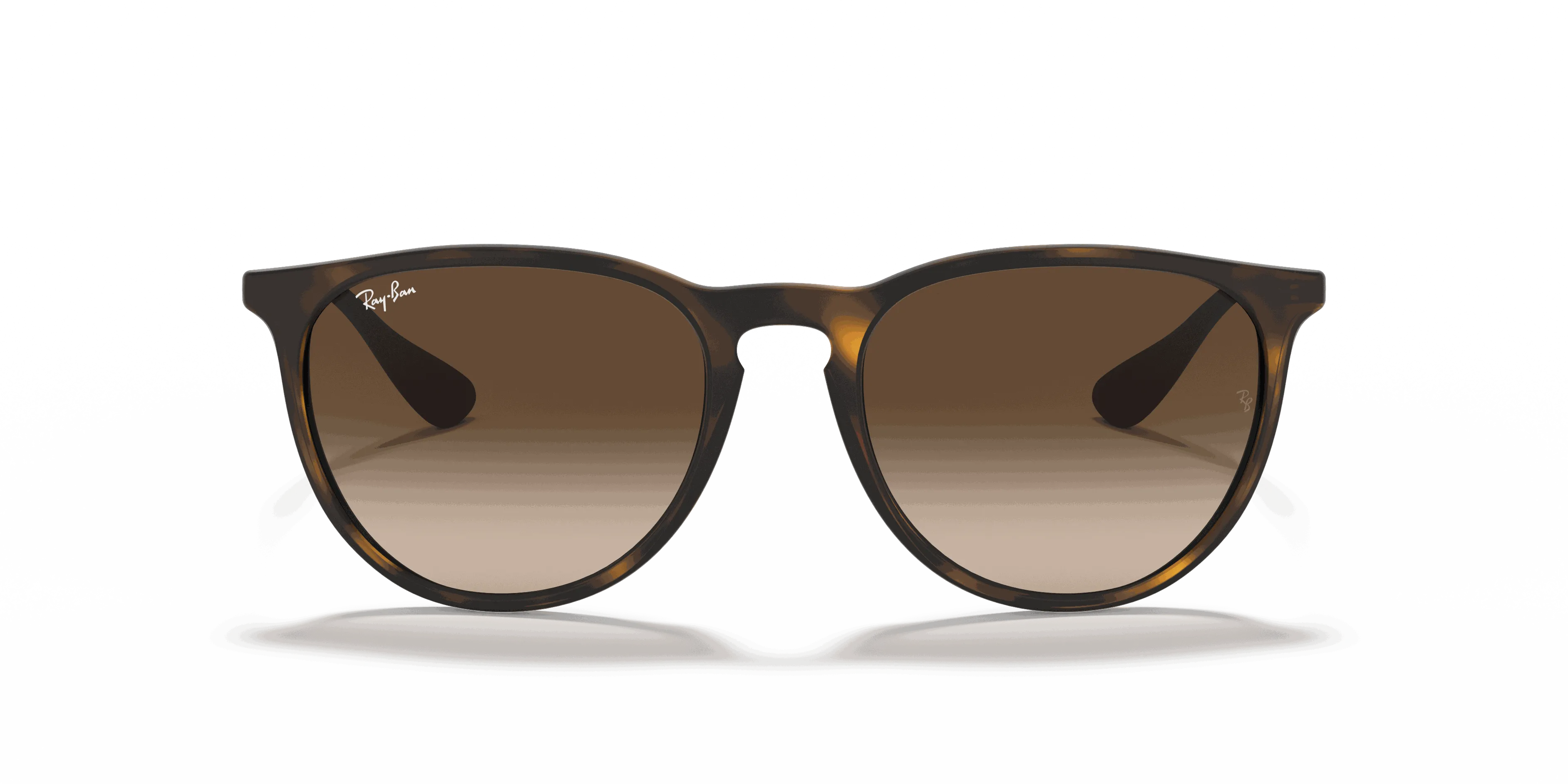 RayBan ERIKA CLASSIC