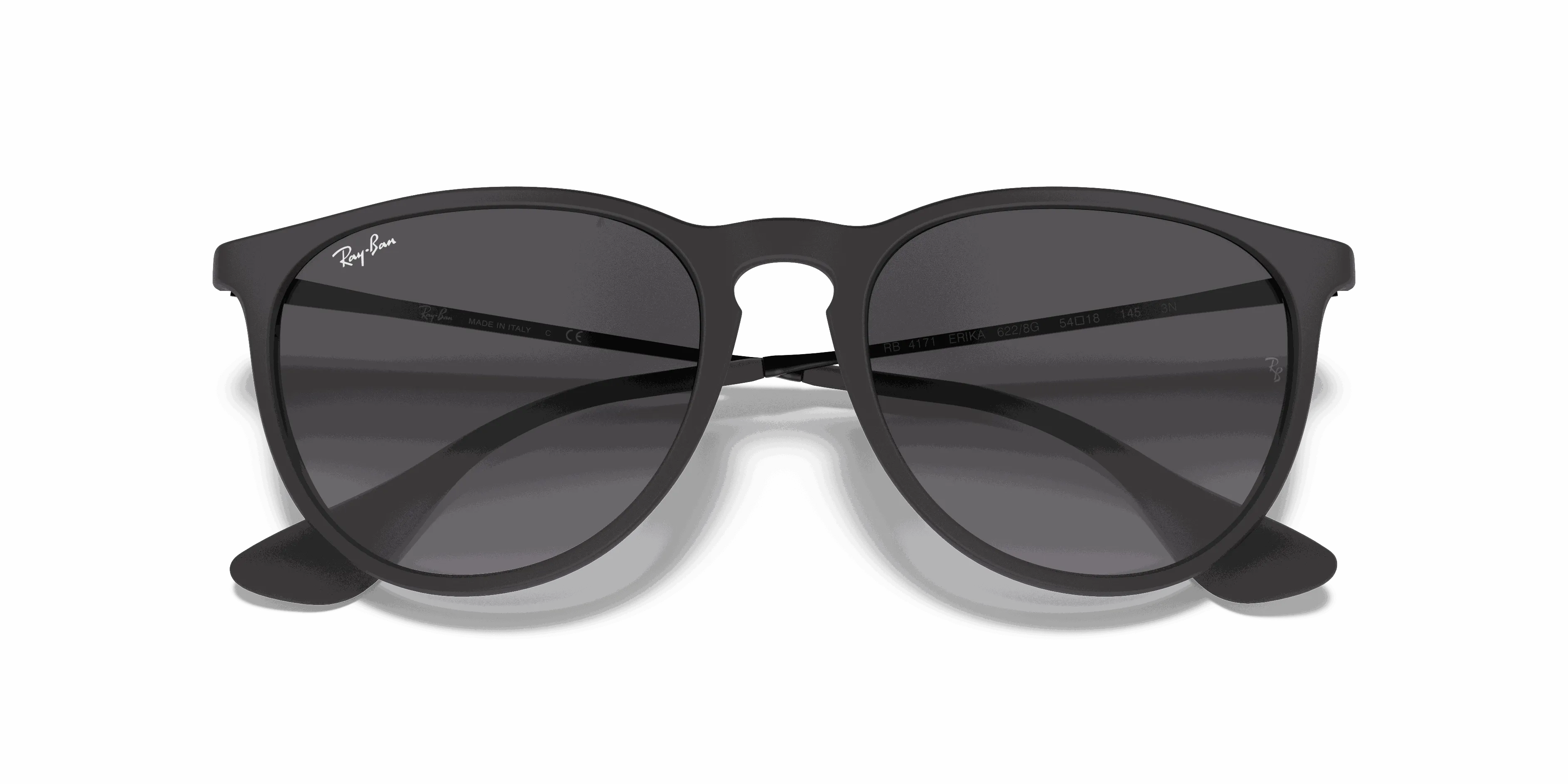 RayBan ERIKA CLASSIC