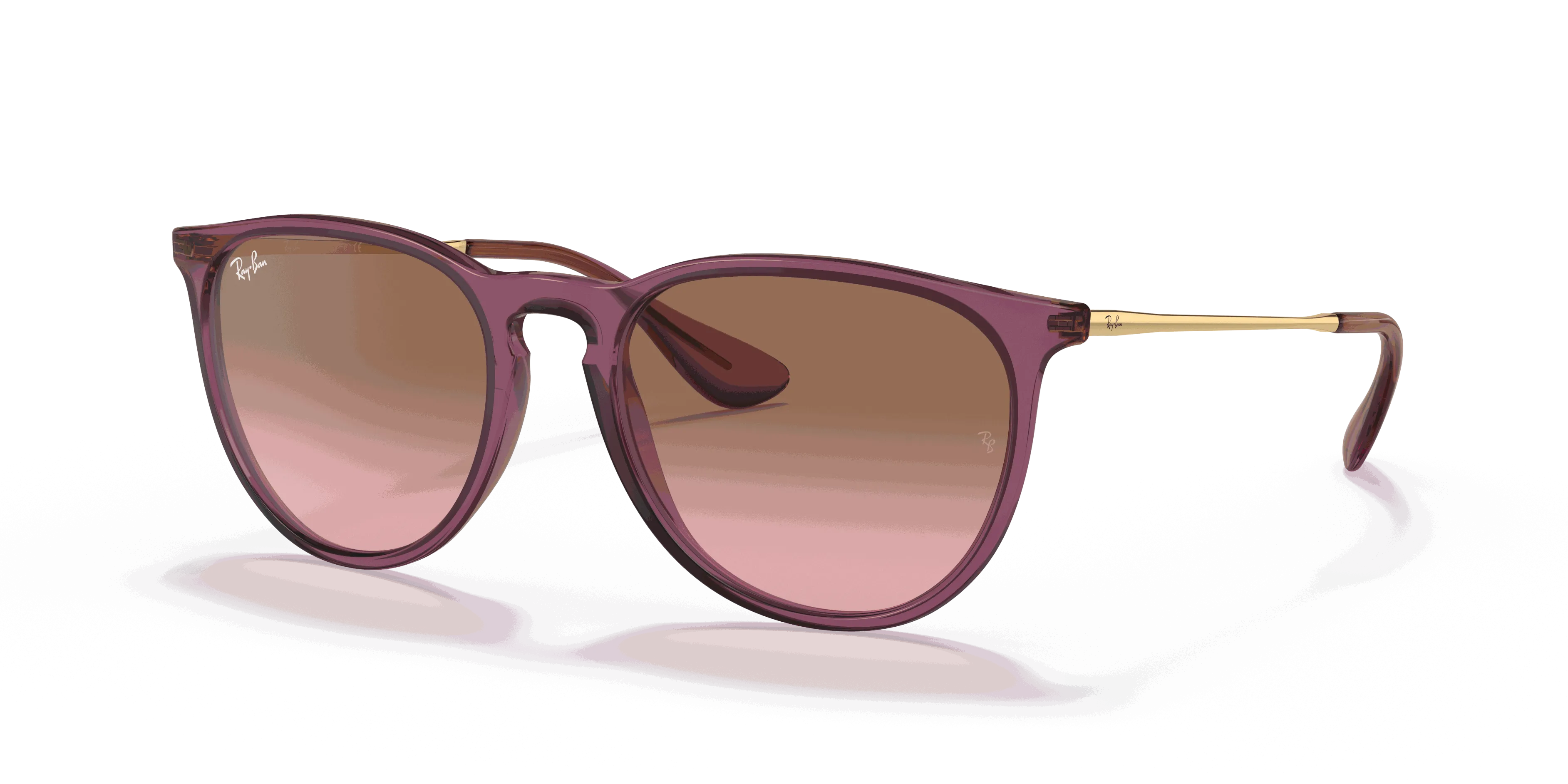 RayBan ERIKA CLASSIC