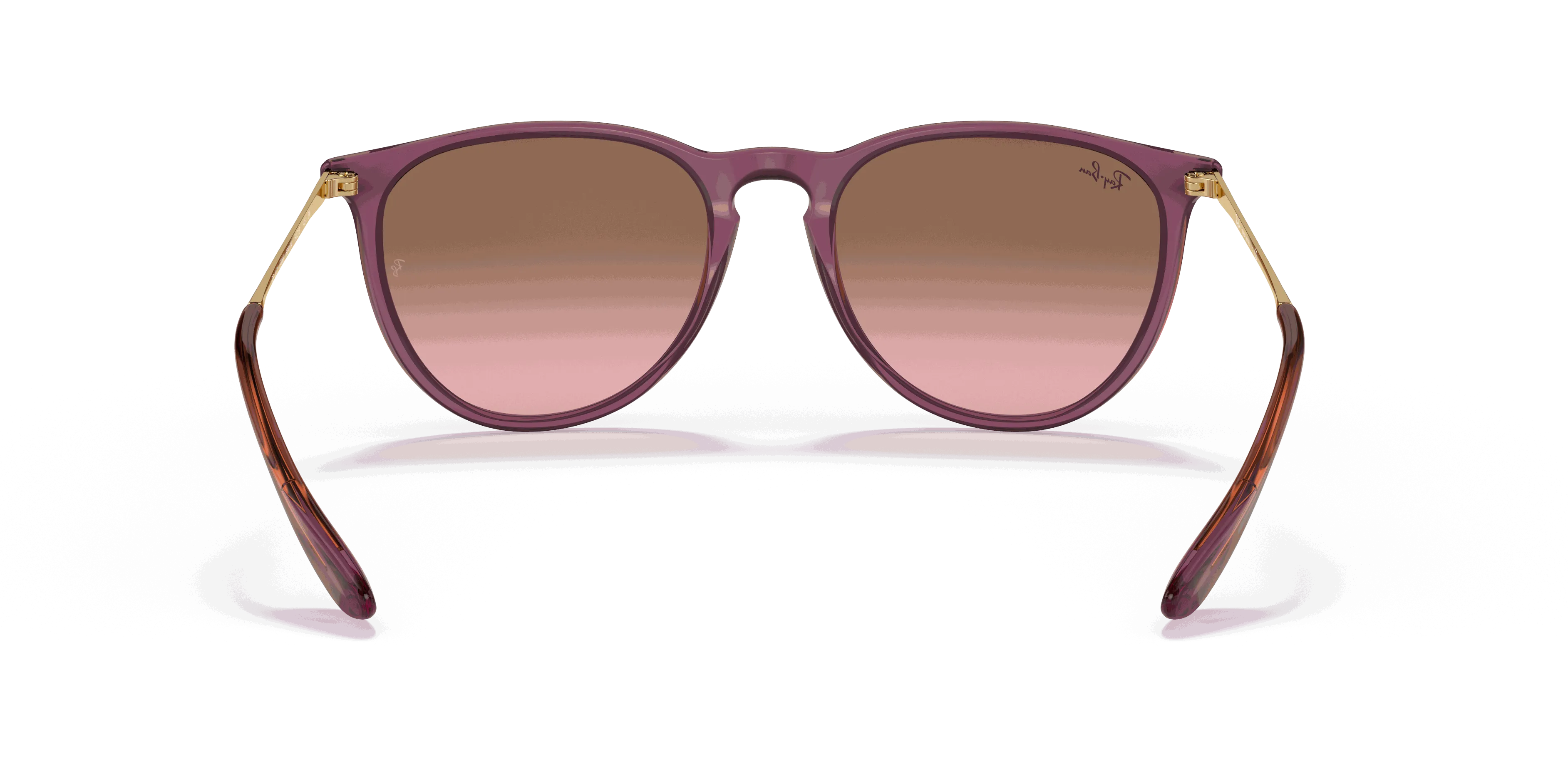 RayBan ERIKA CLASSIC