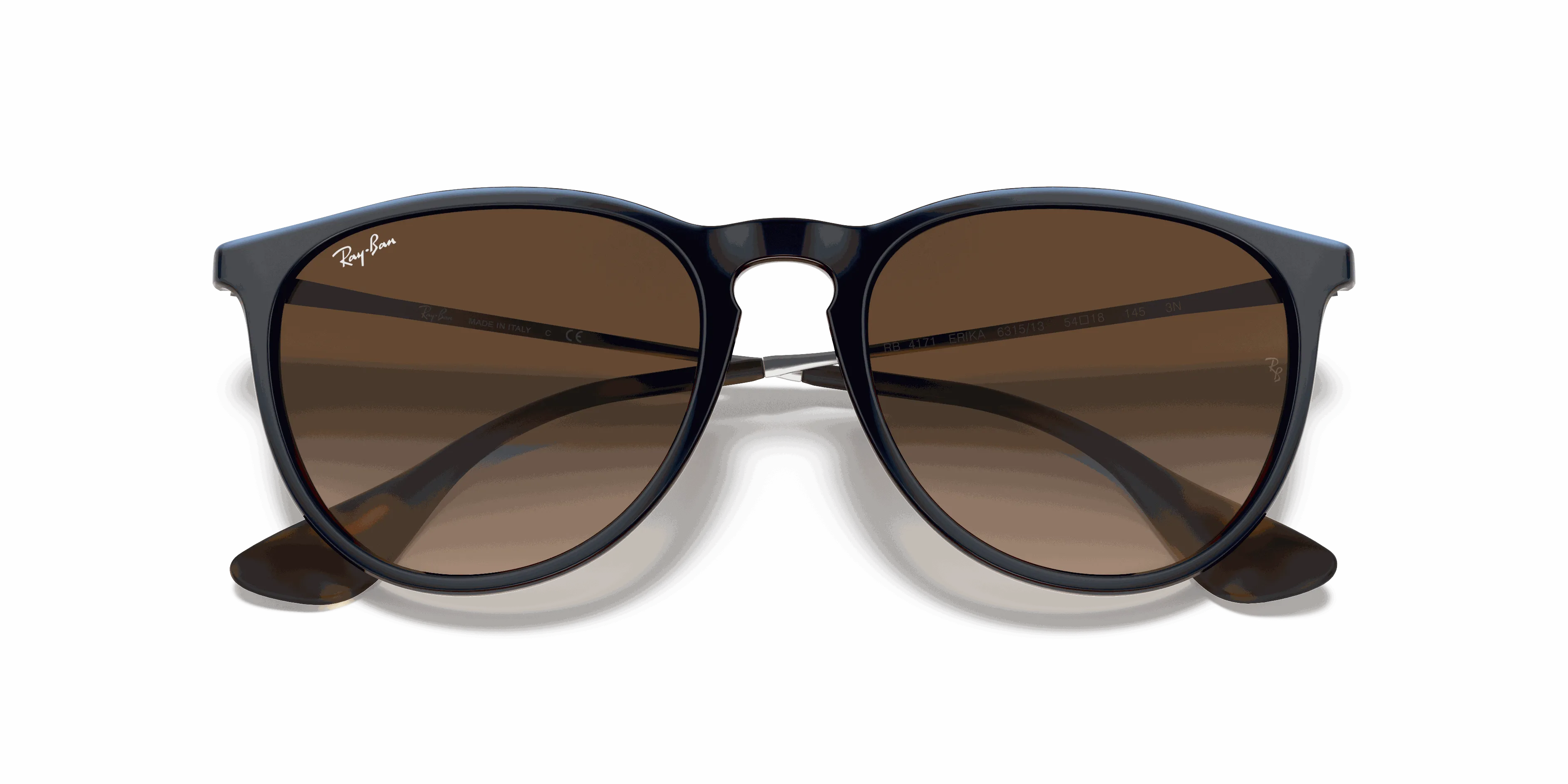 RayBan ERIKA CLASSIC