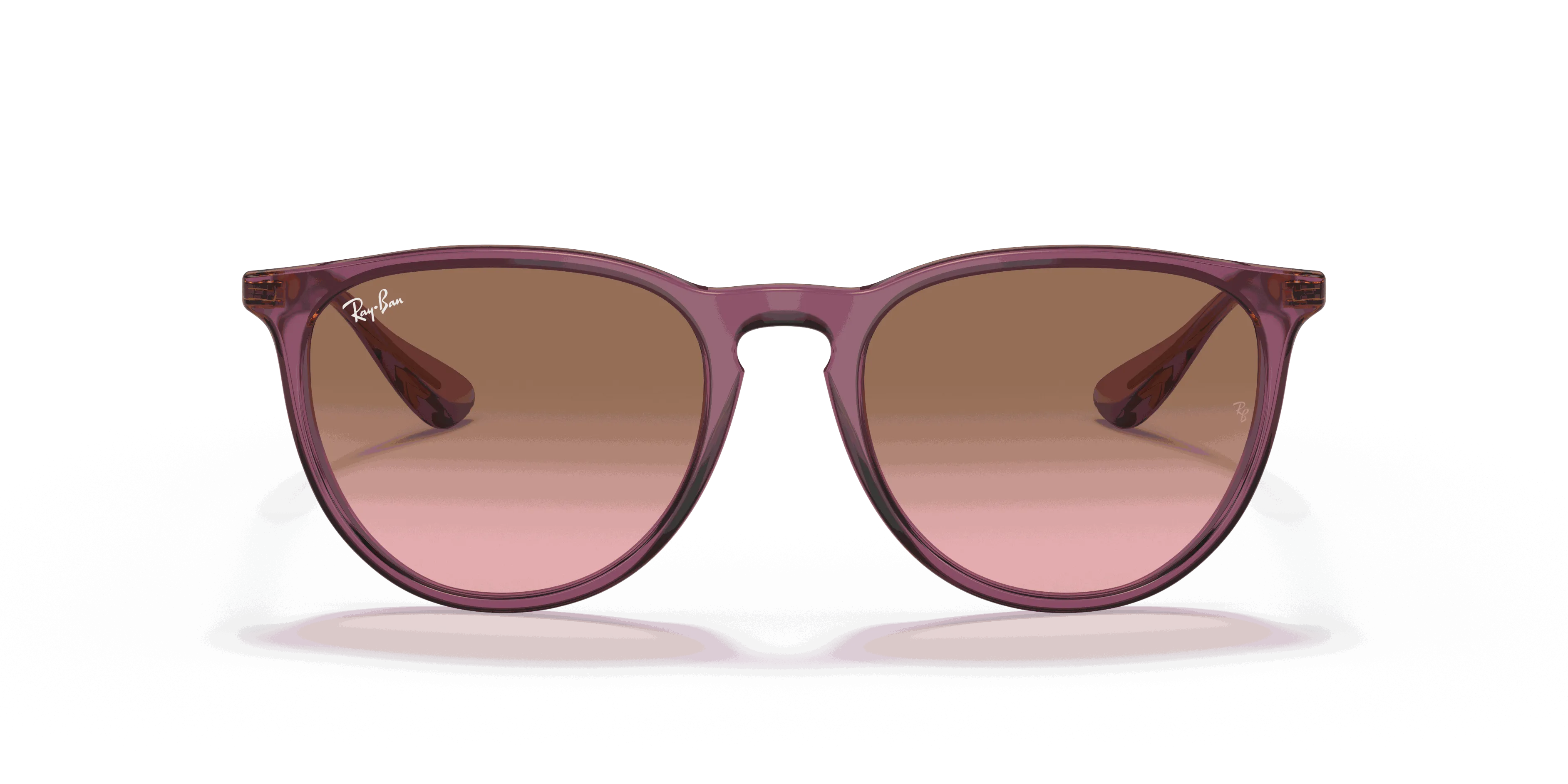 RayBan ERIKA CLASSIC