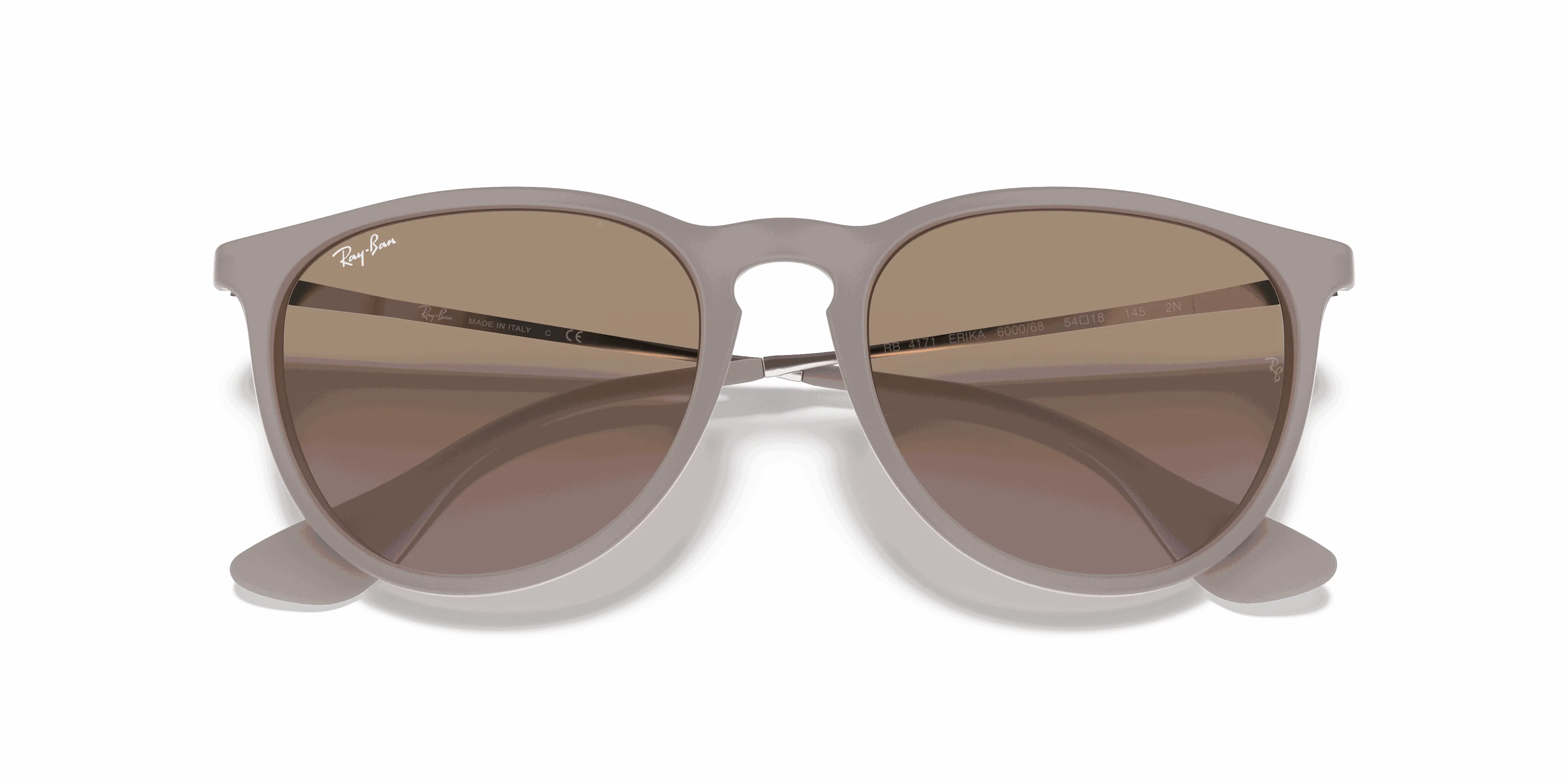 RayBan ERIKA CLASSIC
