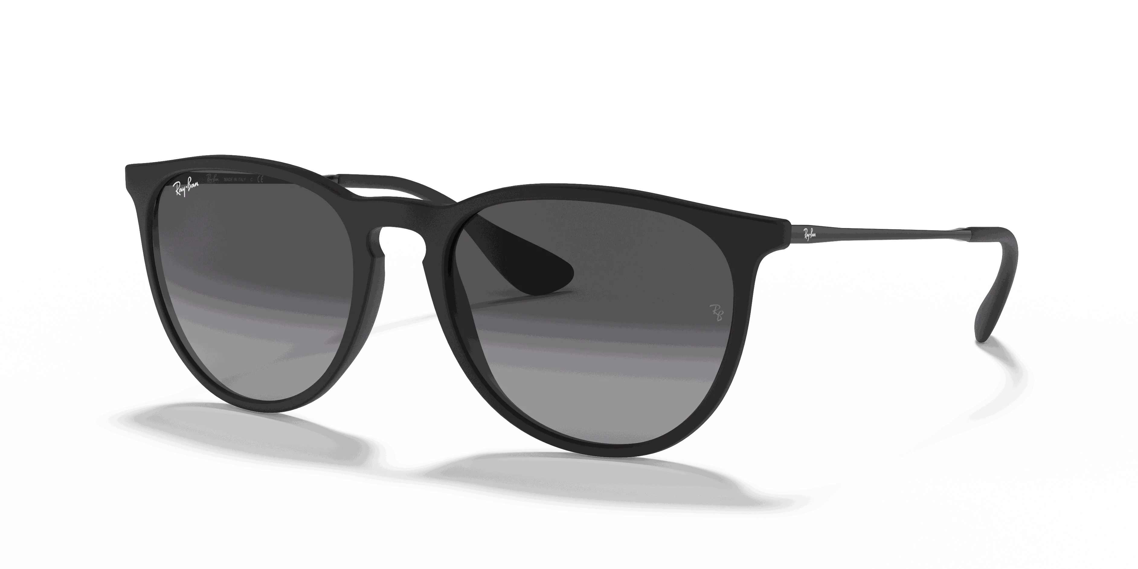 RayBan ERIKA CLASSIC