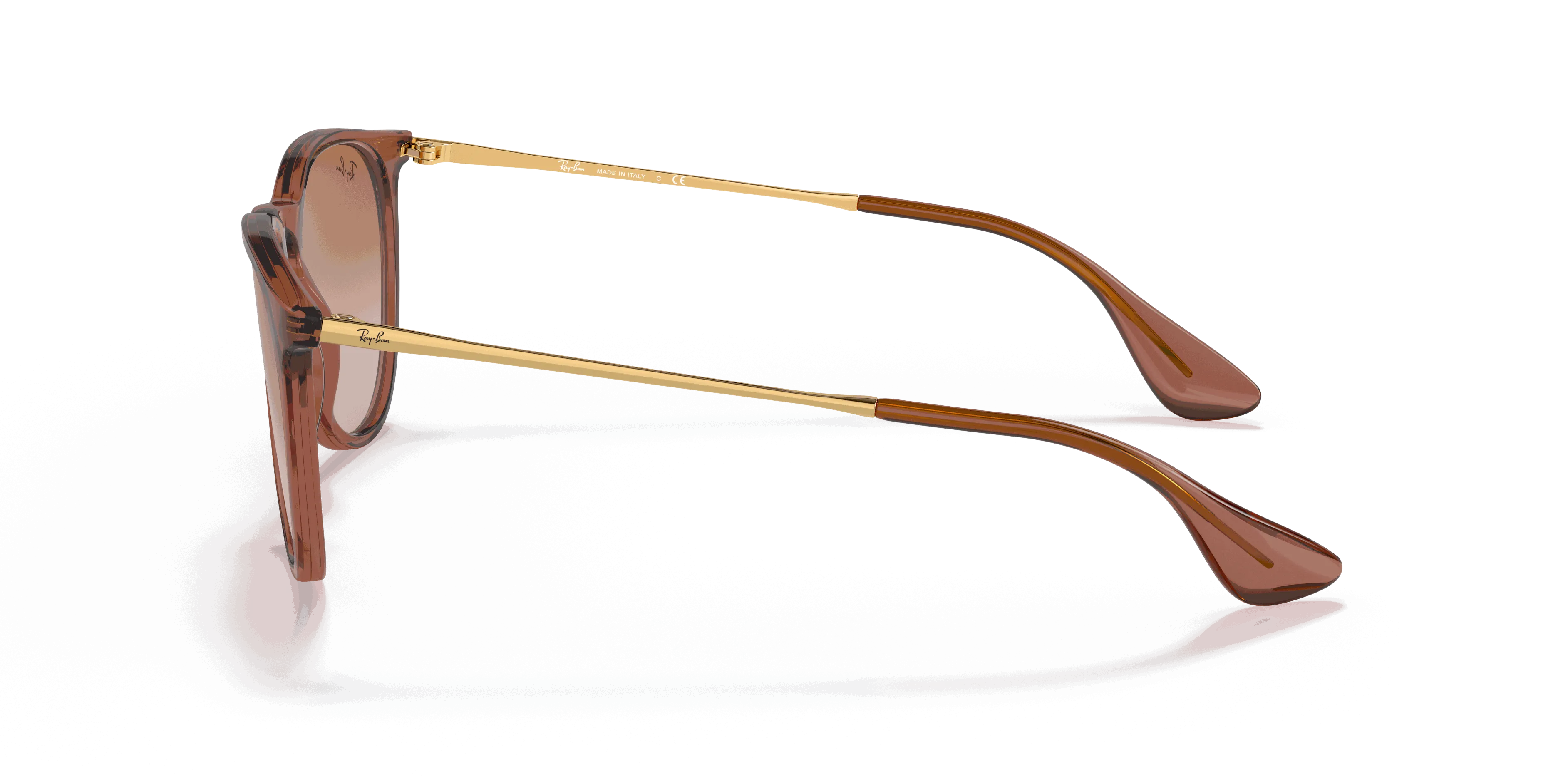 RayBan ERIKA CLASSIC