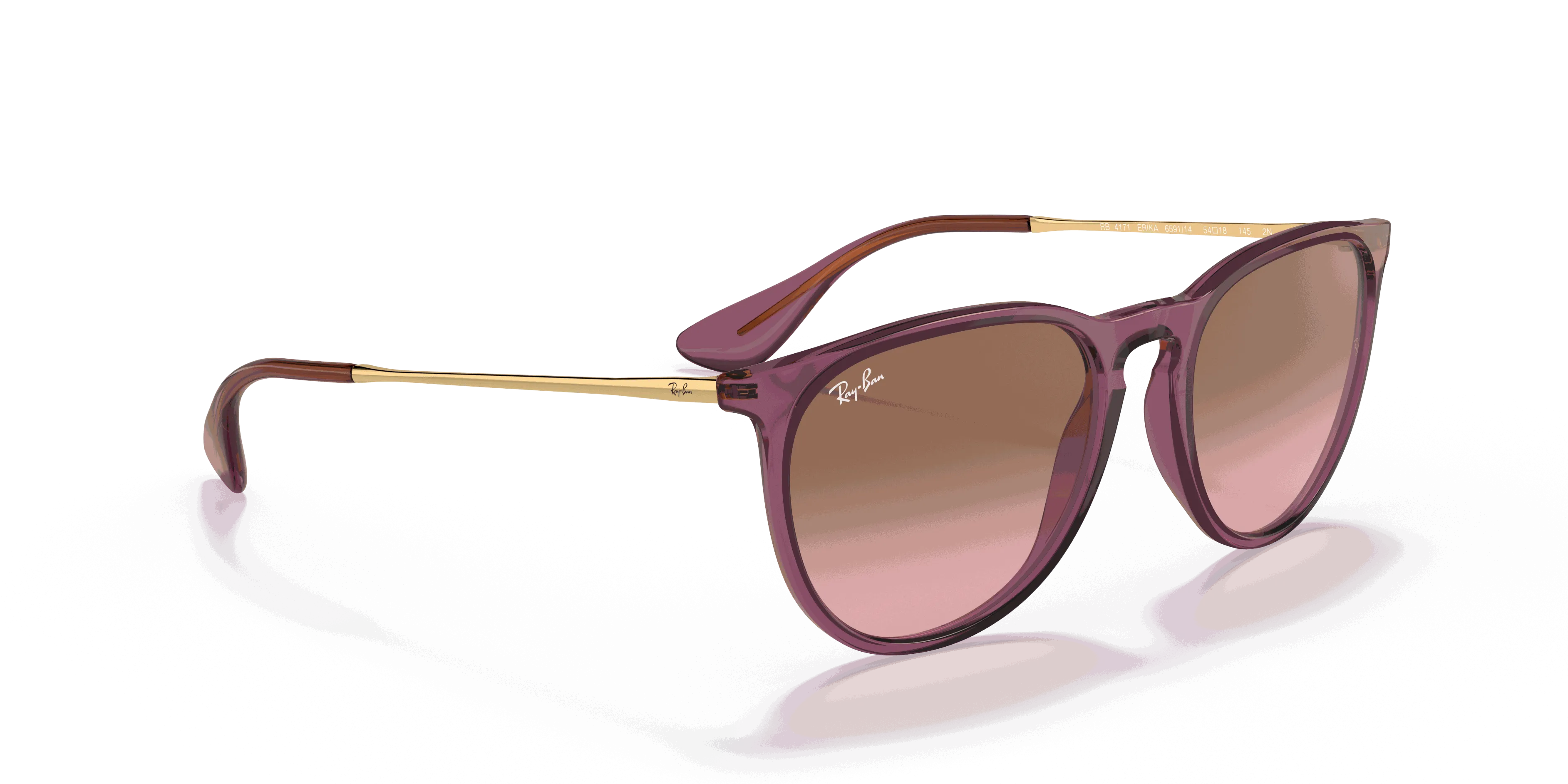 RayBan ERIKA CLASSIC