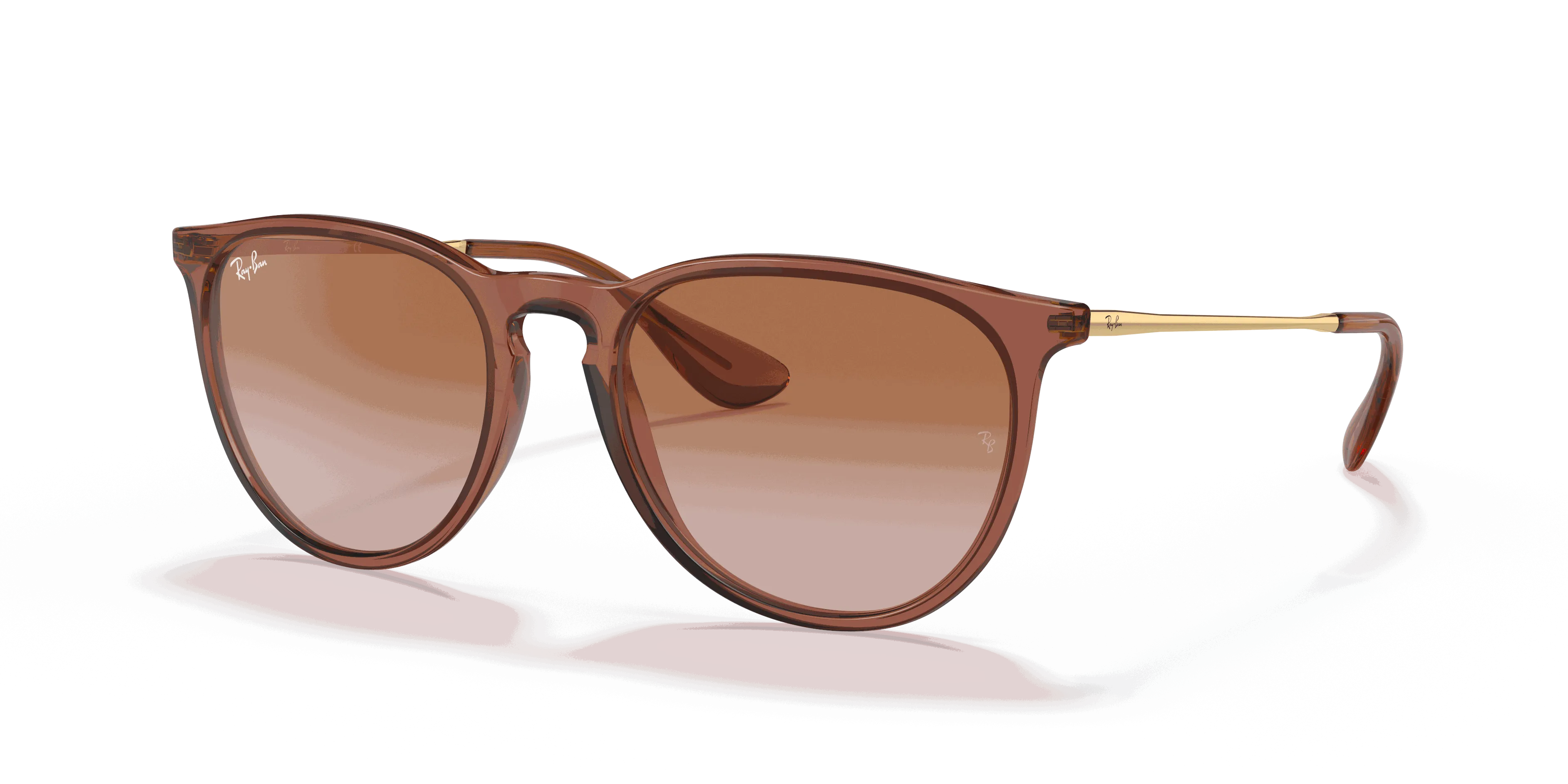 RayBan ERIKA CLASSIC