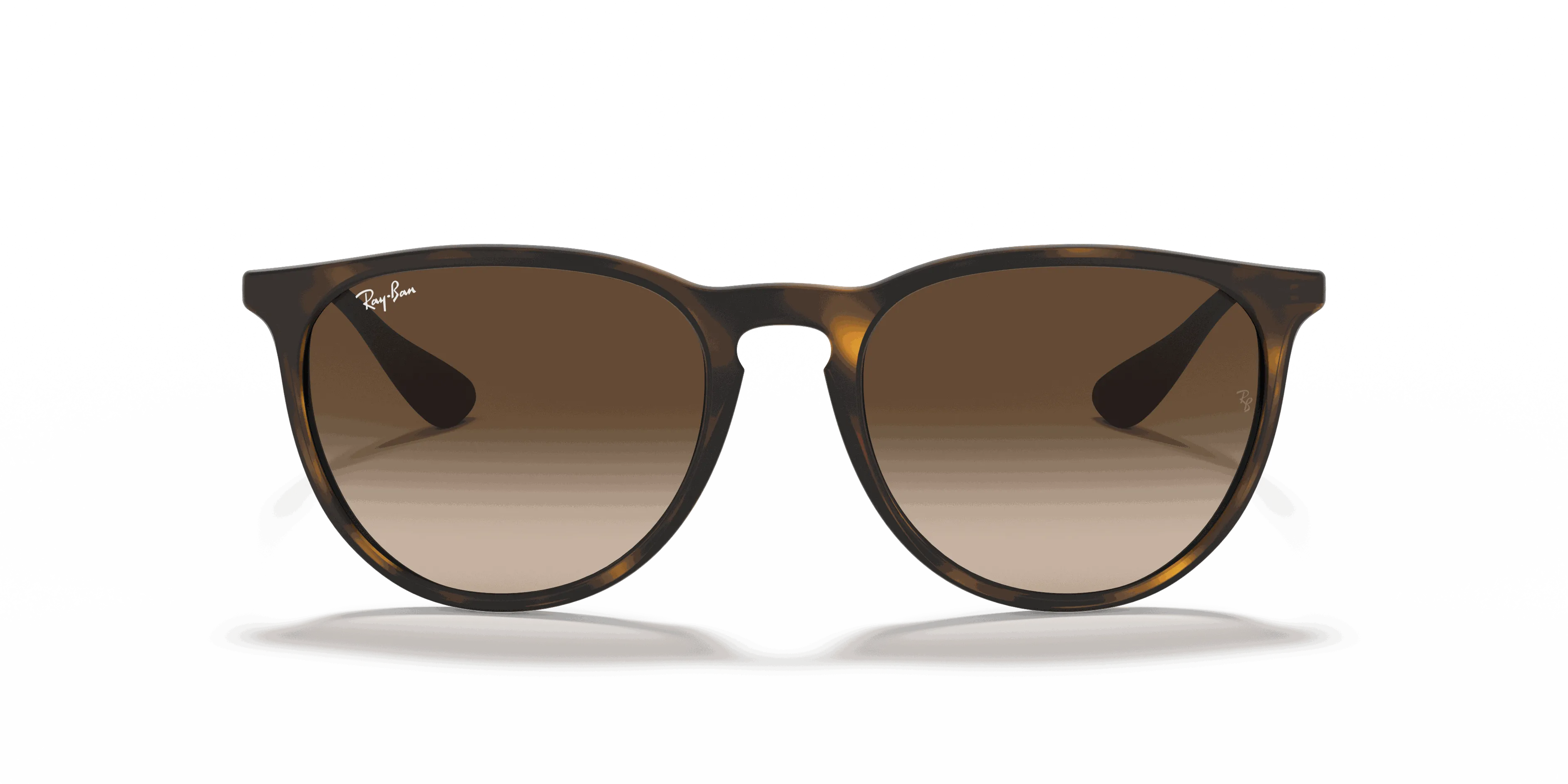 RayBan ERIKA CLASSIC
