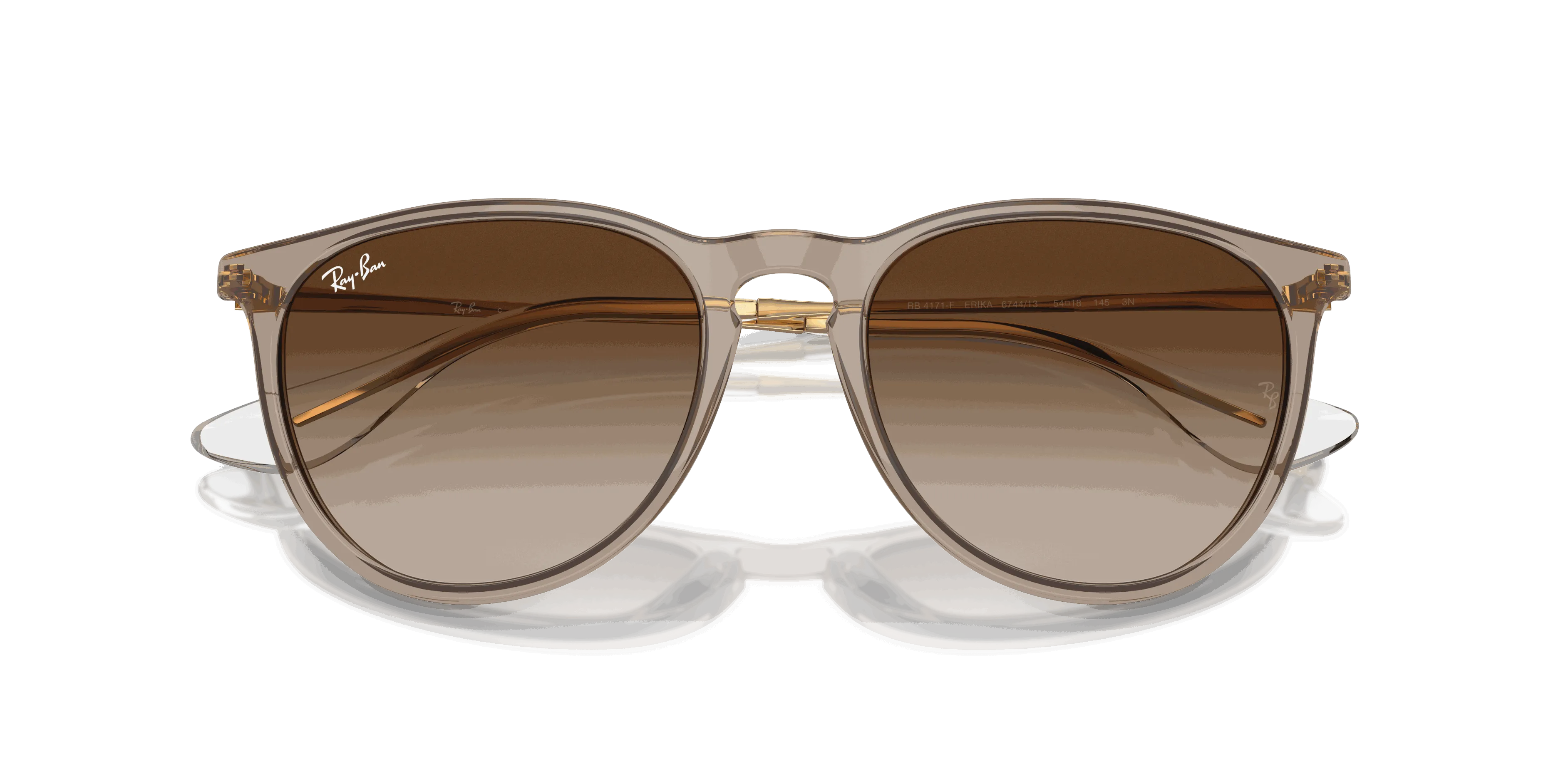 RayBan ERIKA CLASSIC