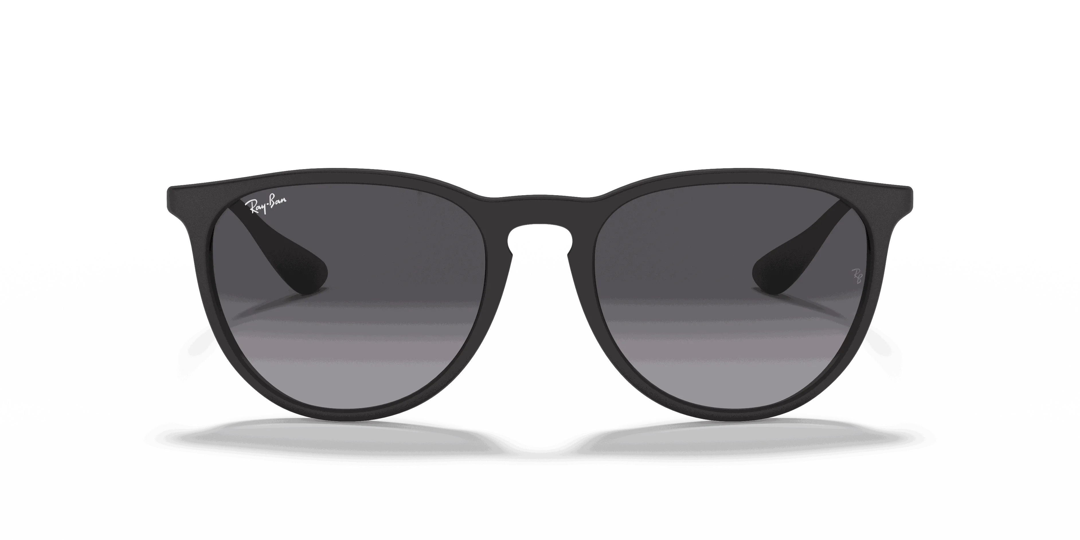 RayBan ERIKA CLASSIC