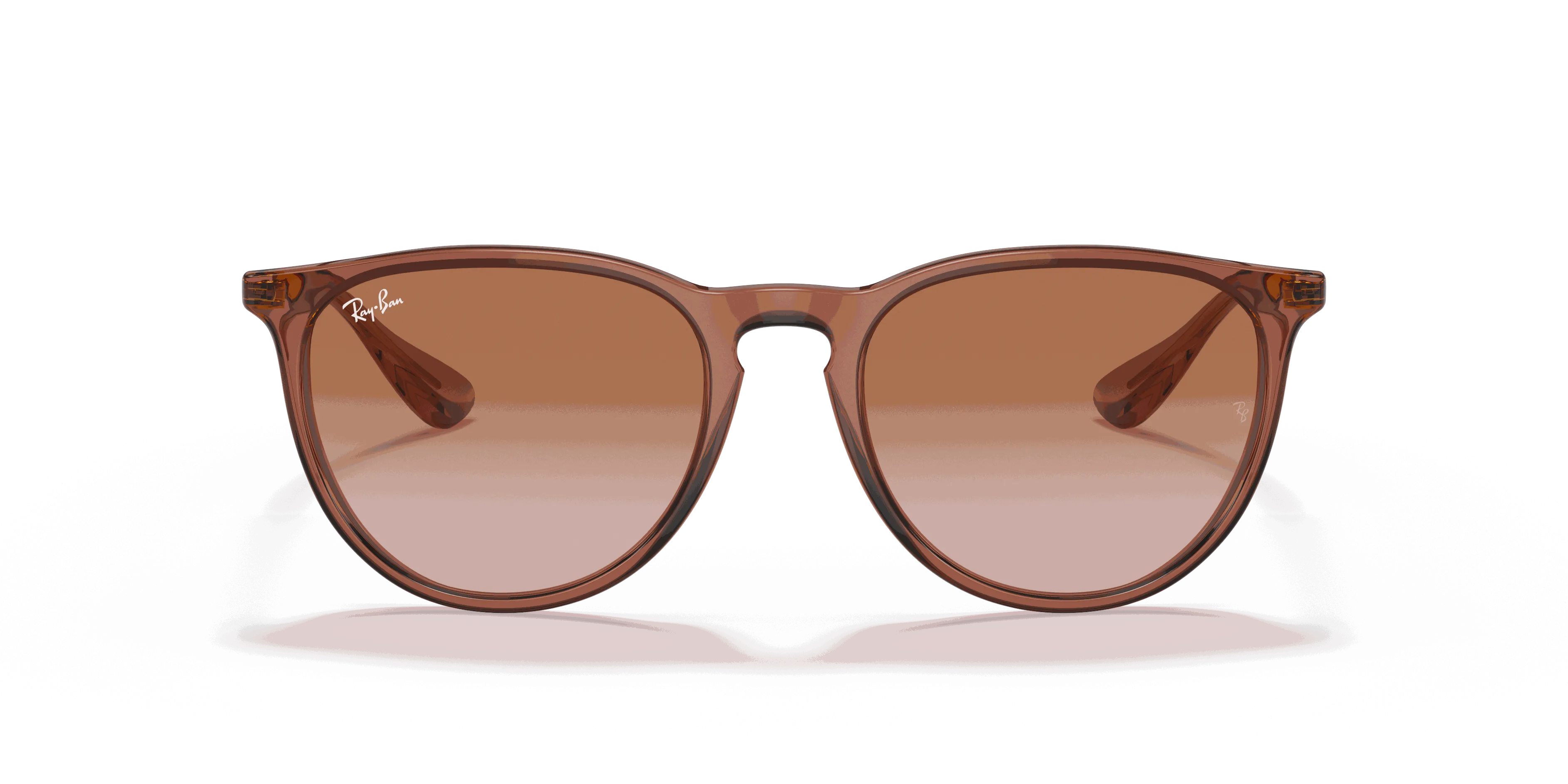 RayBan ERIKA CLASSIC