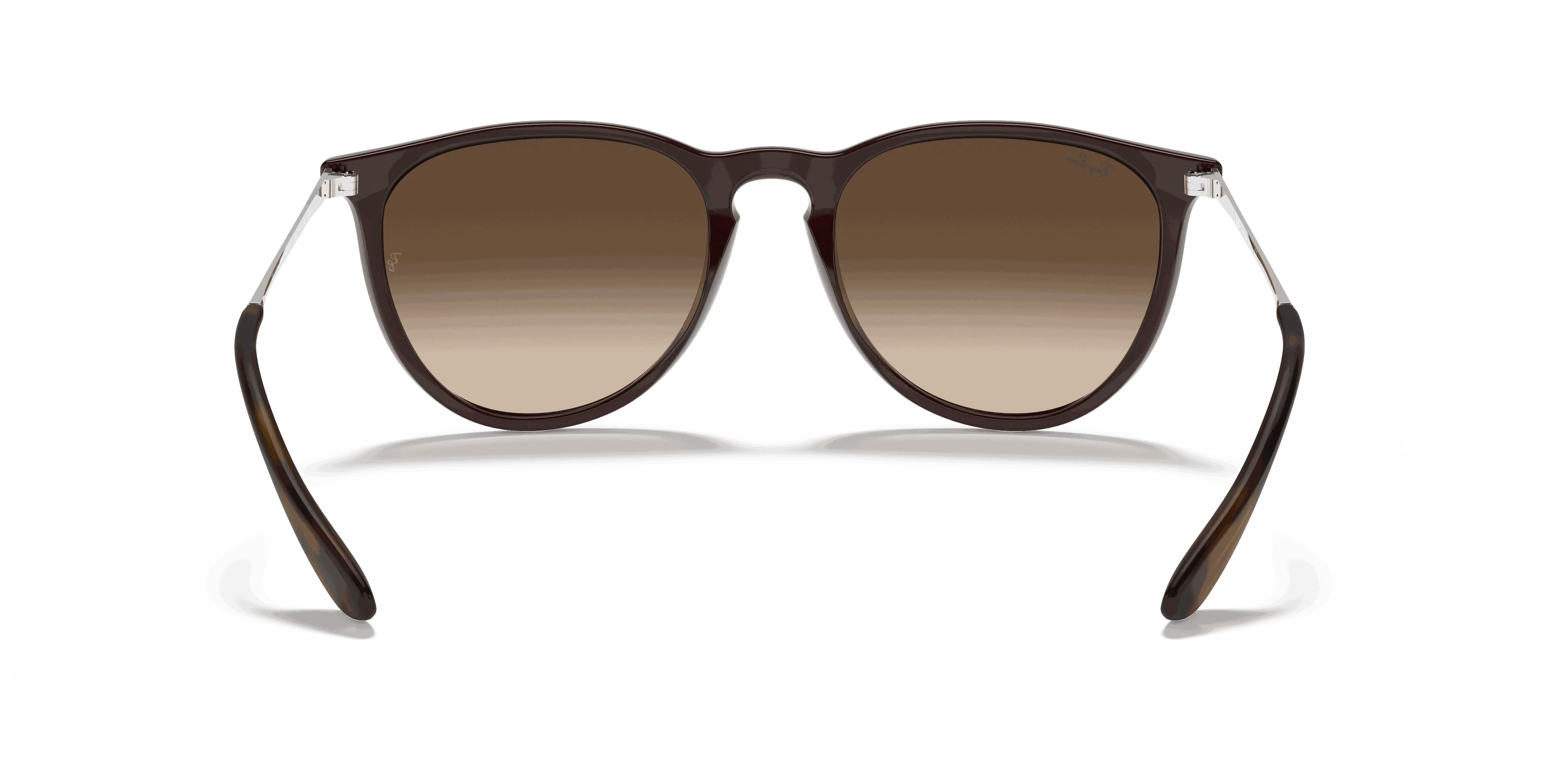 RayBan ERIKA CLASSIC