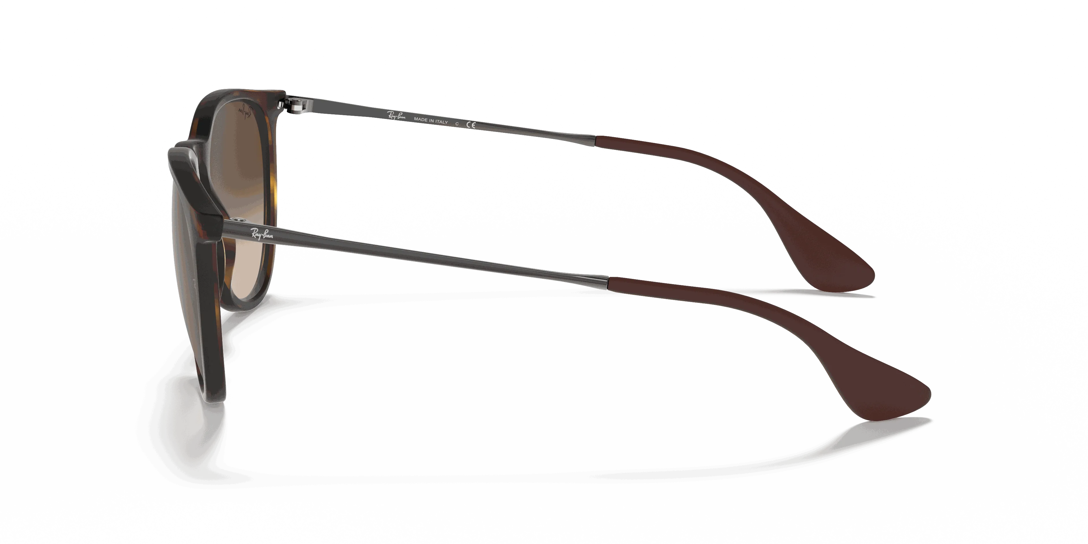 RayBan ERIKA CLASSIC