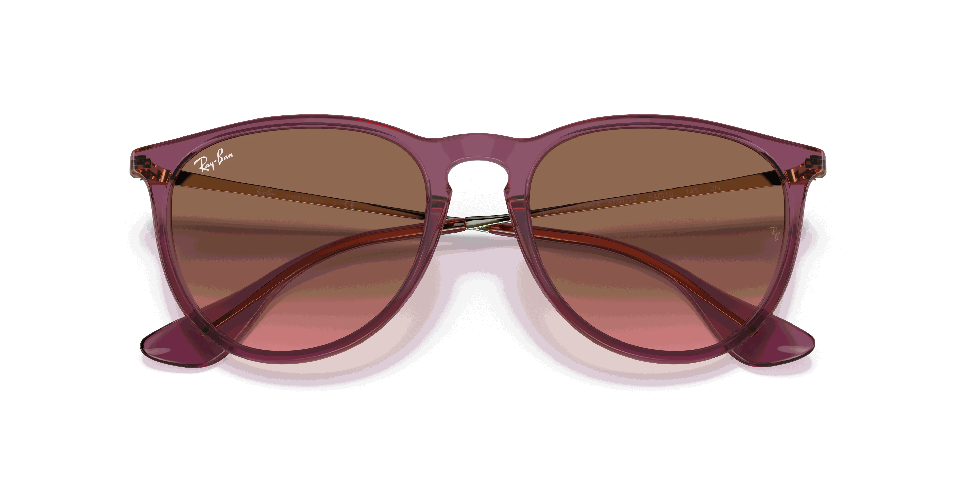 RayBan ERIKA CLASSIC
