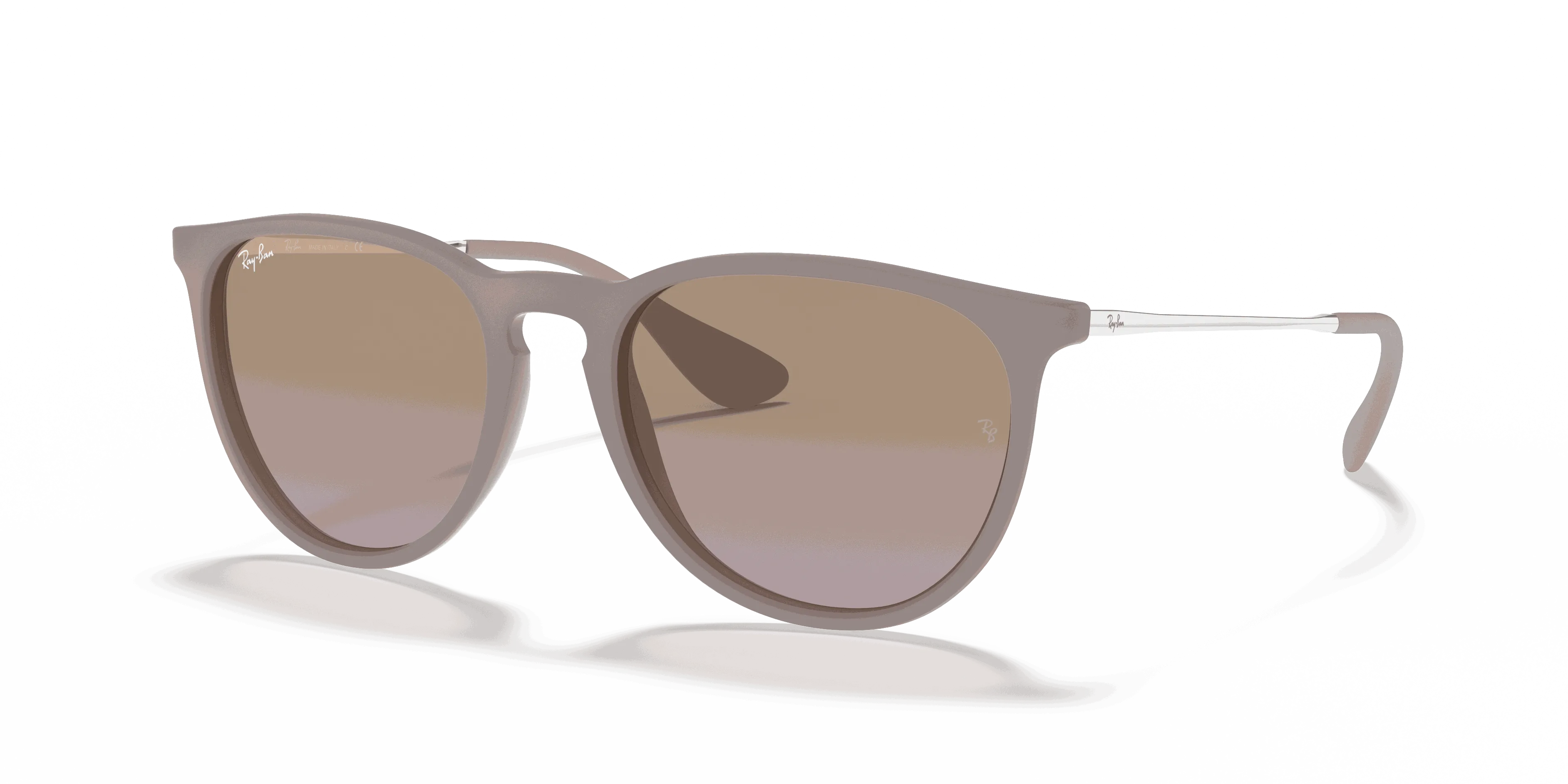 RayBan ERIKA CLASSIC