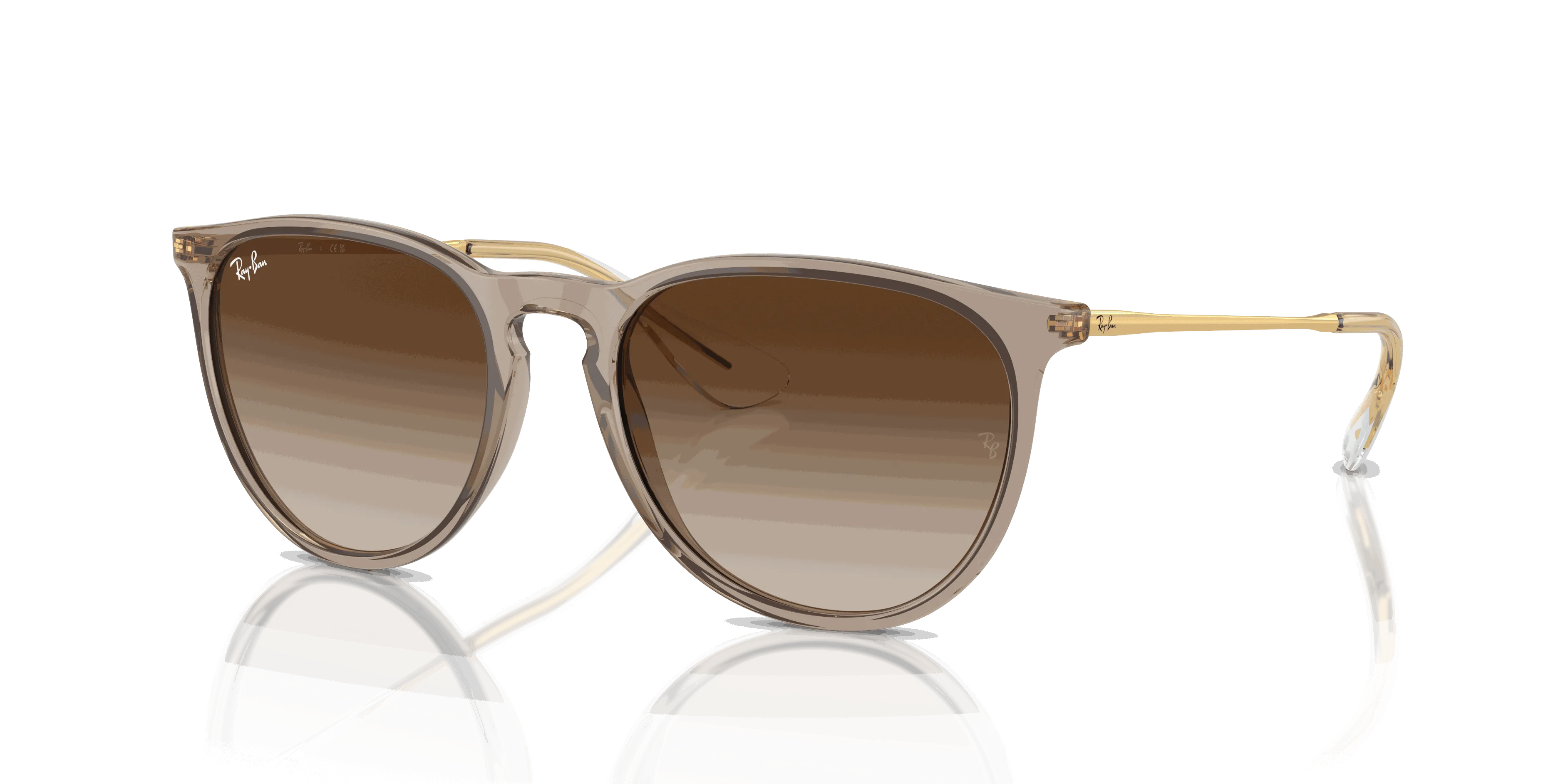 RayBan ERIKA CLASSIC