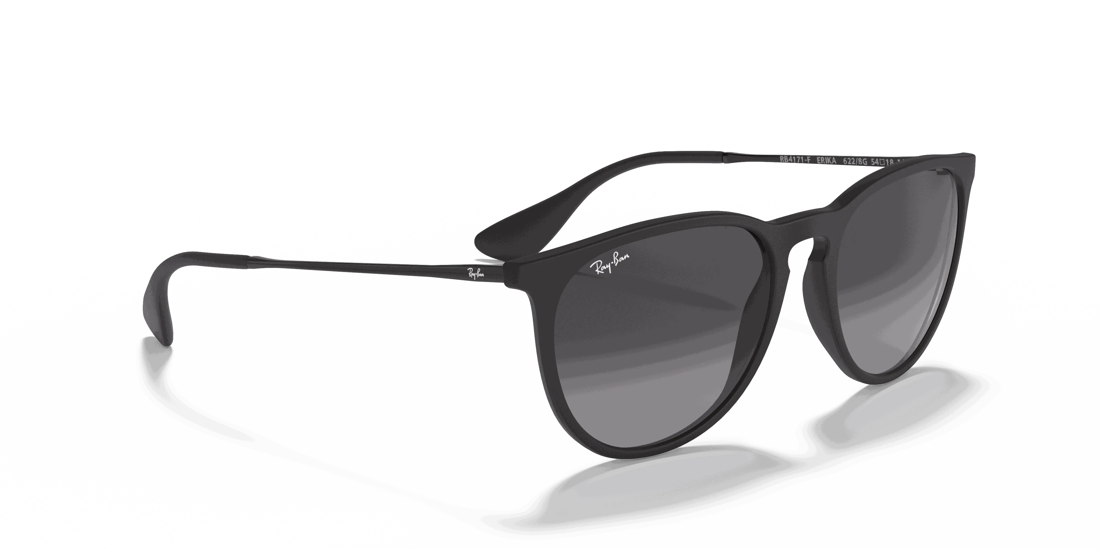 RayBan ERIKA CLASSIC