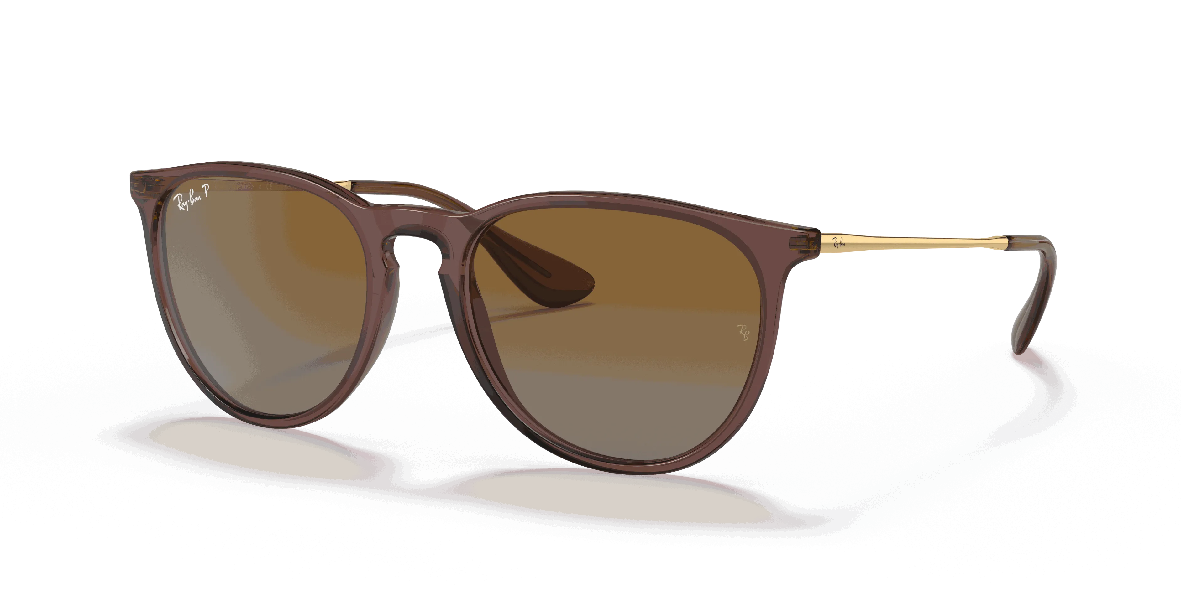 RayBan ERIKA CLASSIC