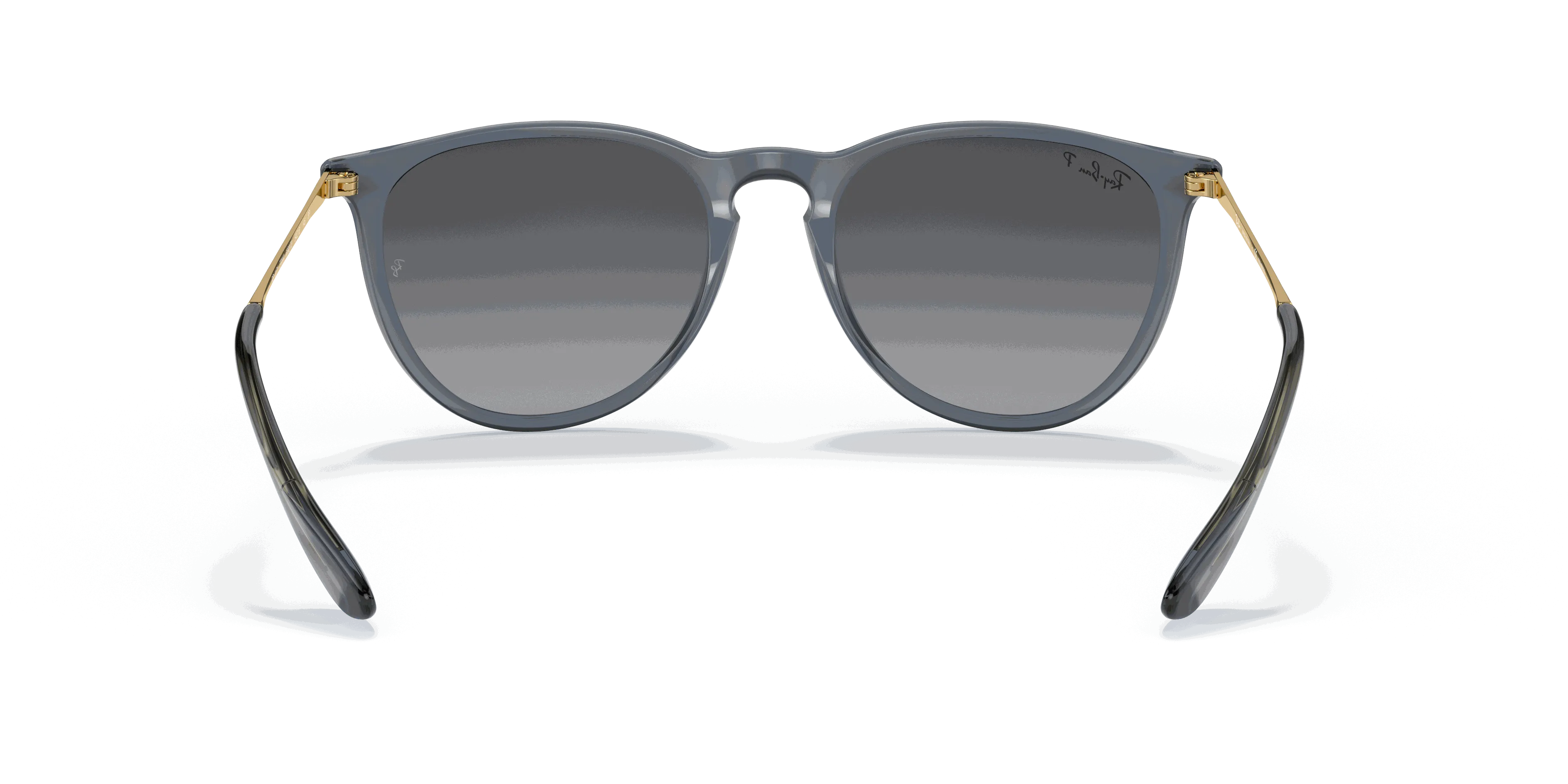 RayBan ERIKA CLASSIC