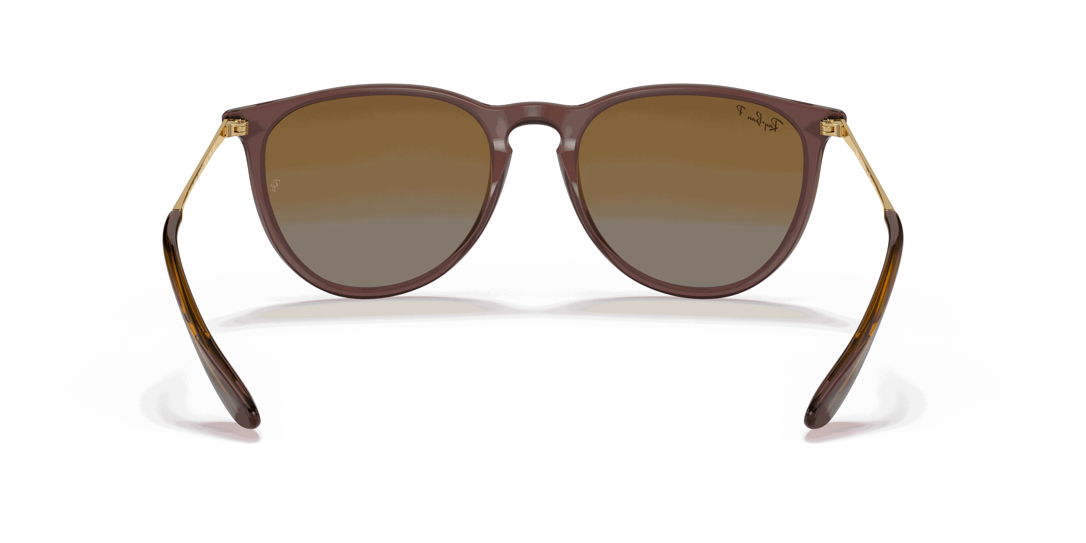 RayBan ERIKA CLASSIC