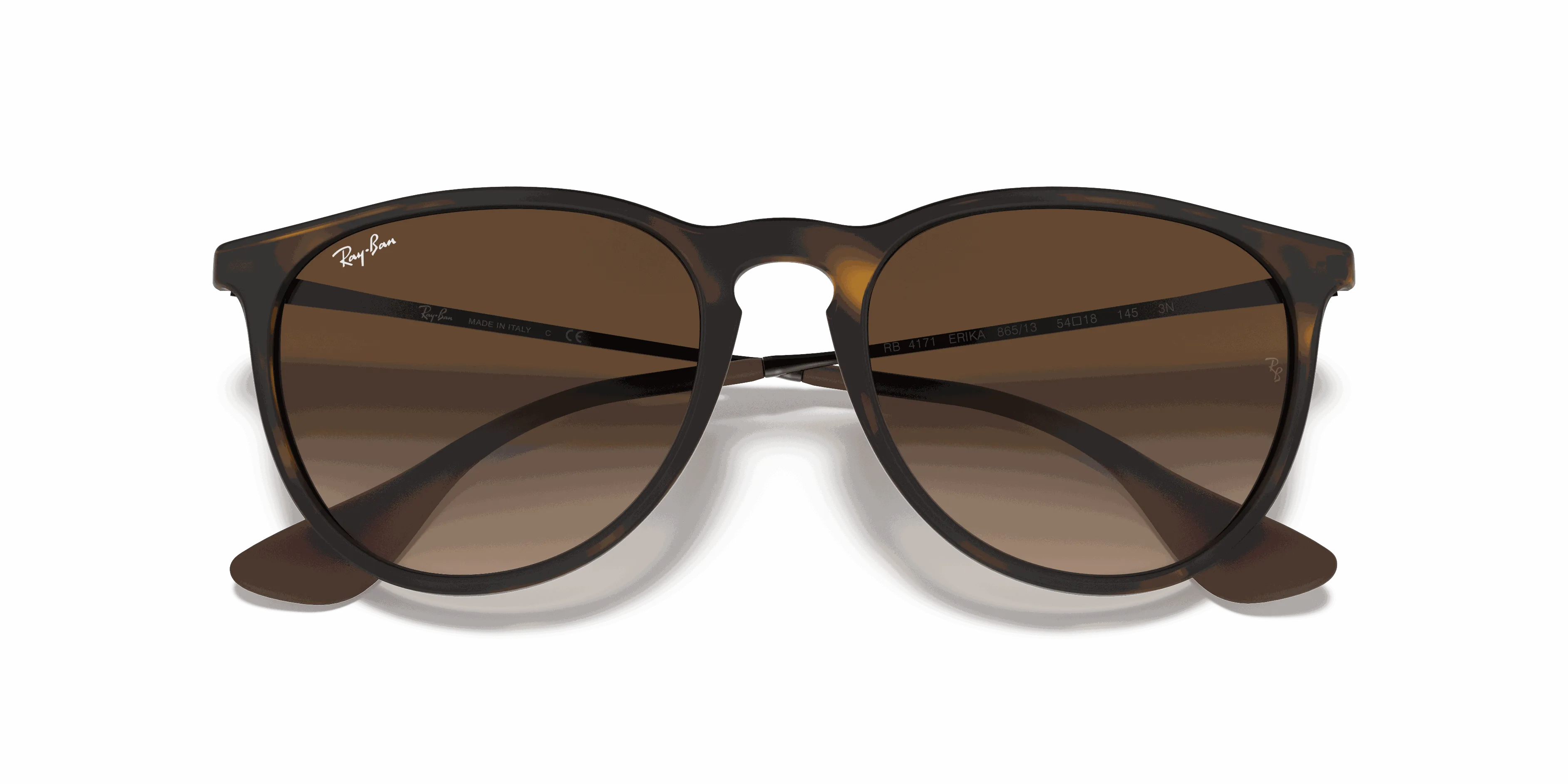 RayBan ERIKA CLASSIC