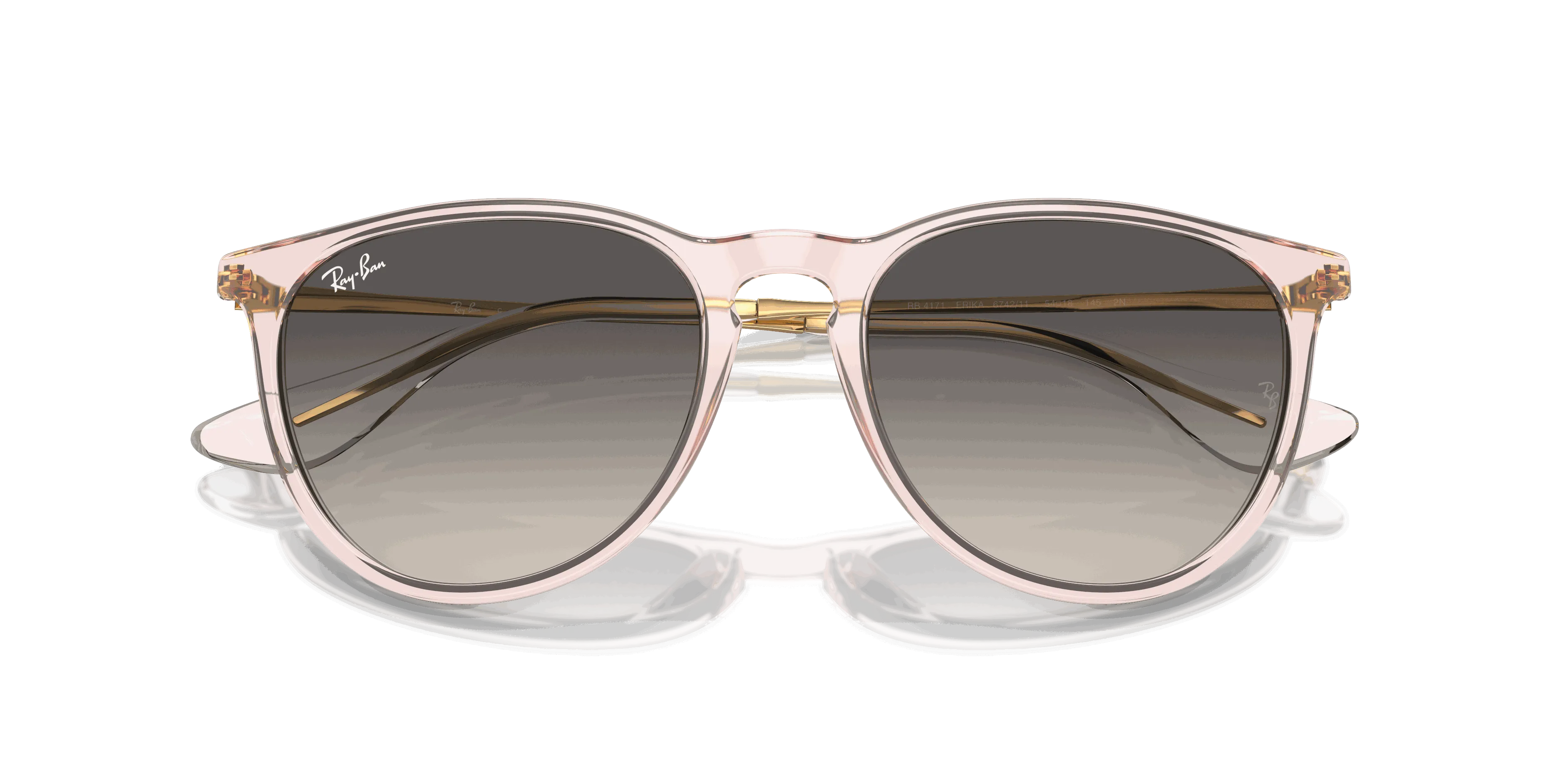 RayBan ERIKA CLASSIC