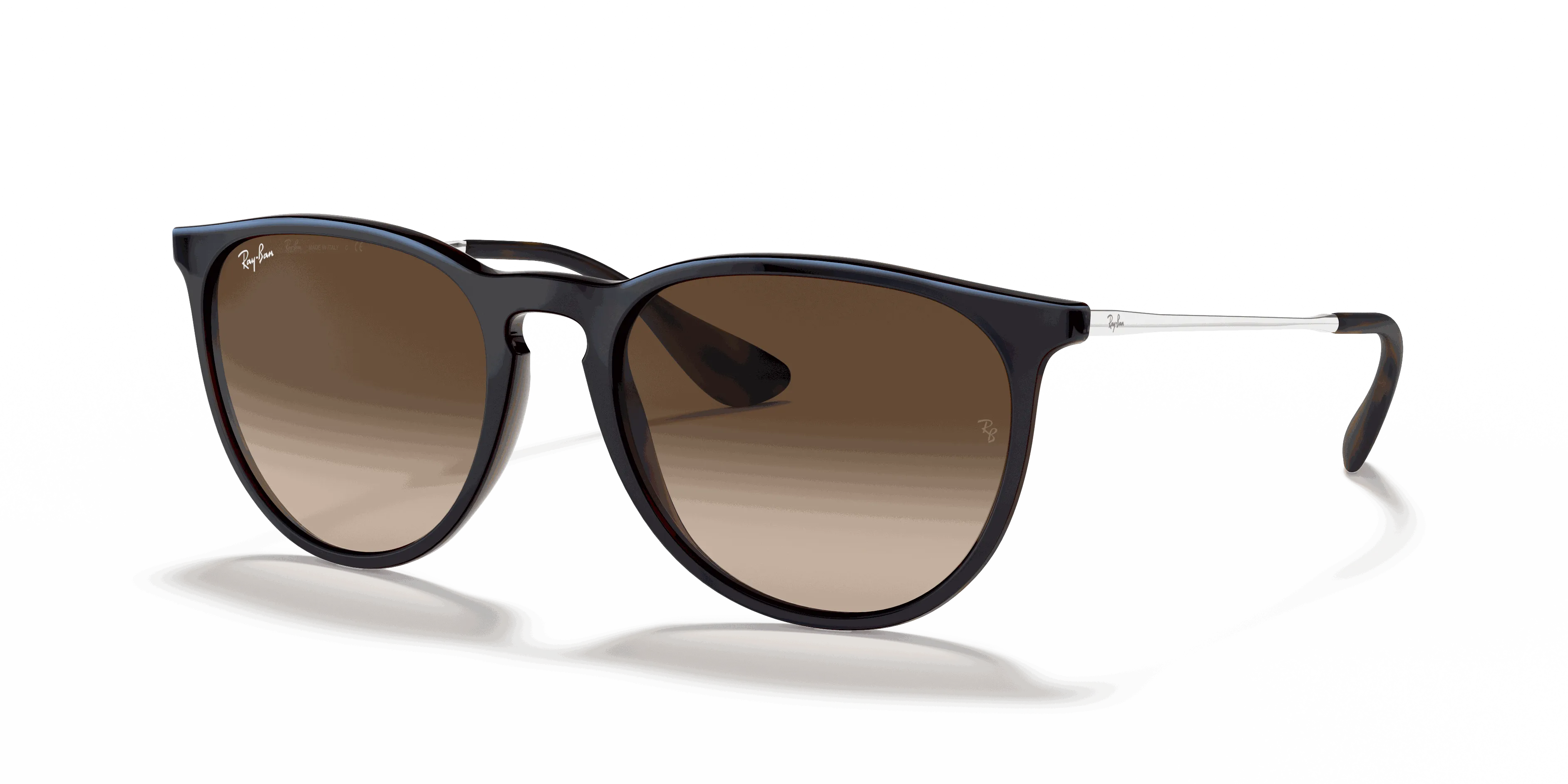 RayBan ERIKA CLASSIC
