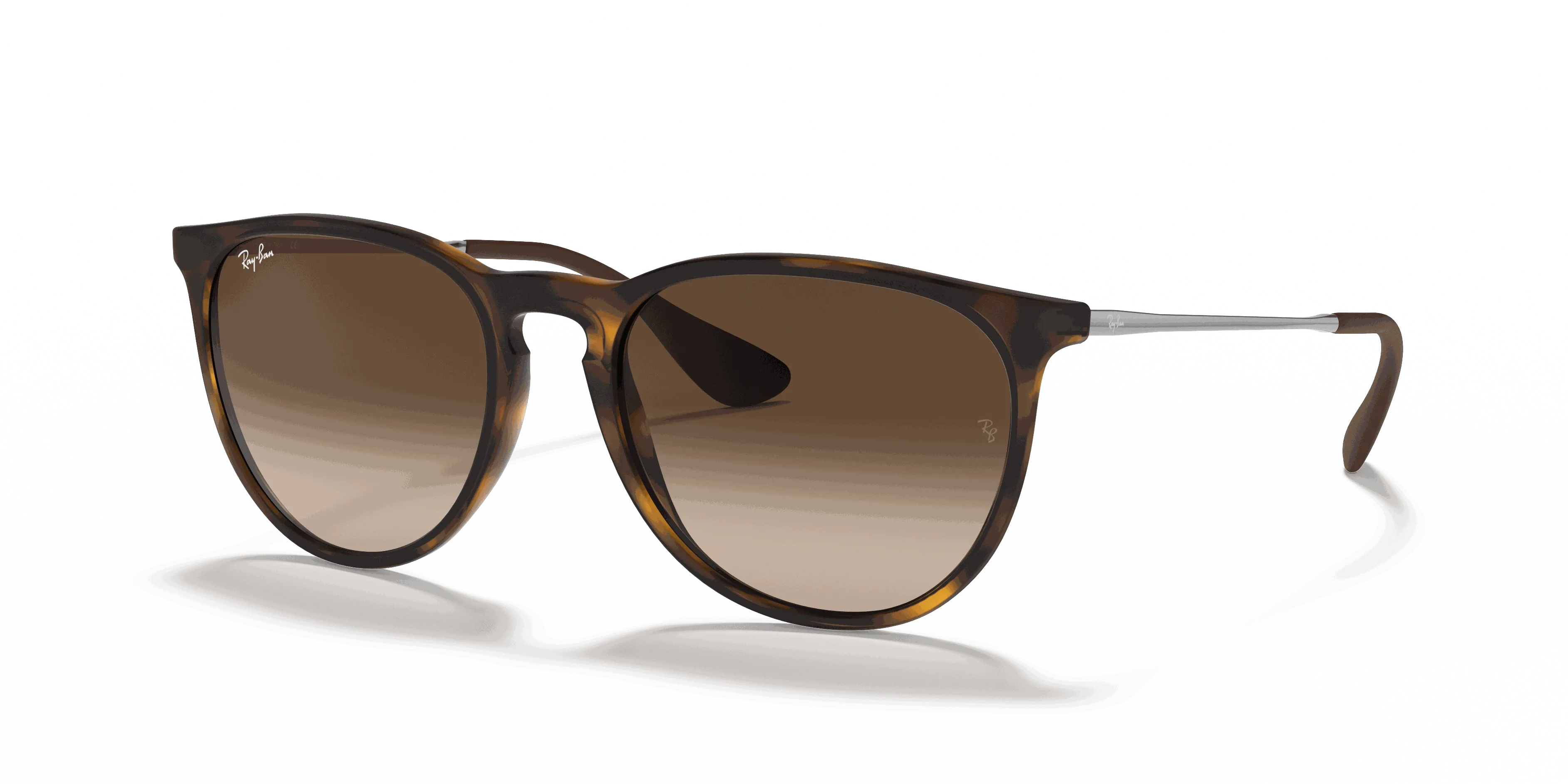 RayBan ERIKA CLASSIC