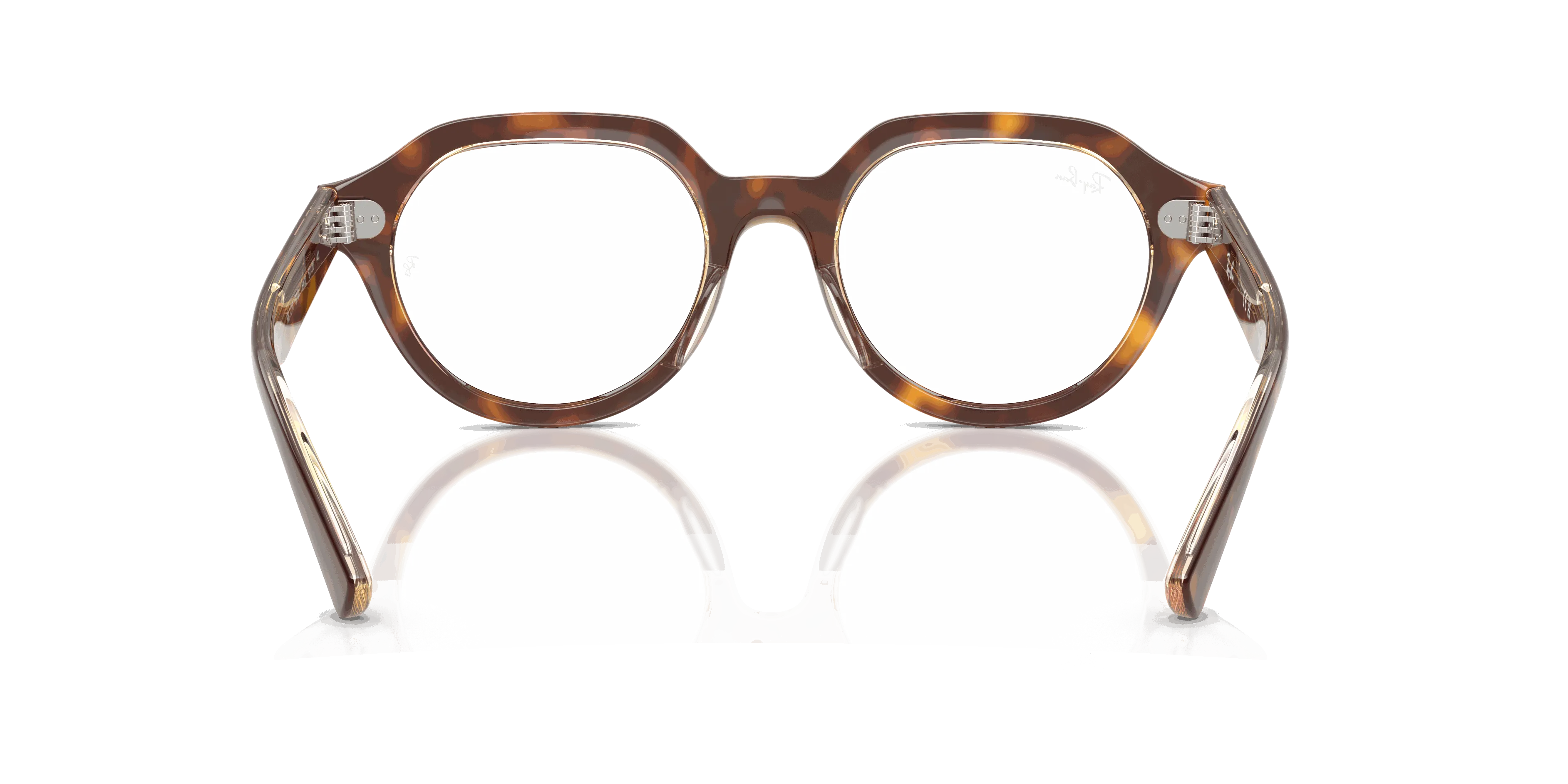RayBan GINA OPTICS