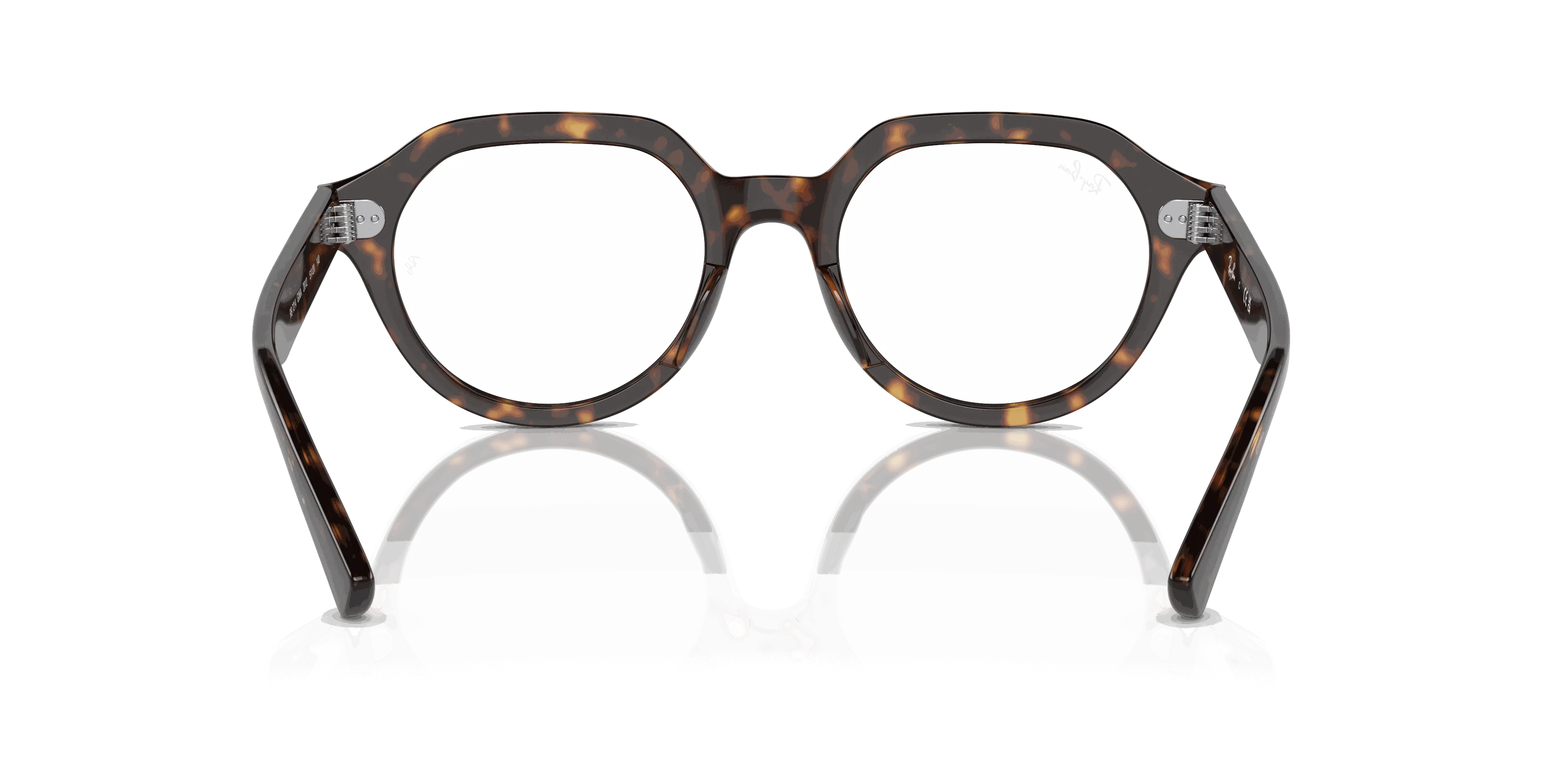 RayBan GINA OPTICS