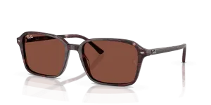 RayBan RAIMOND