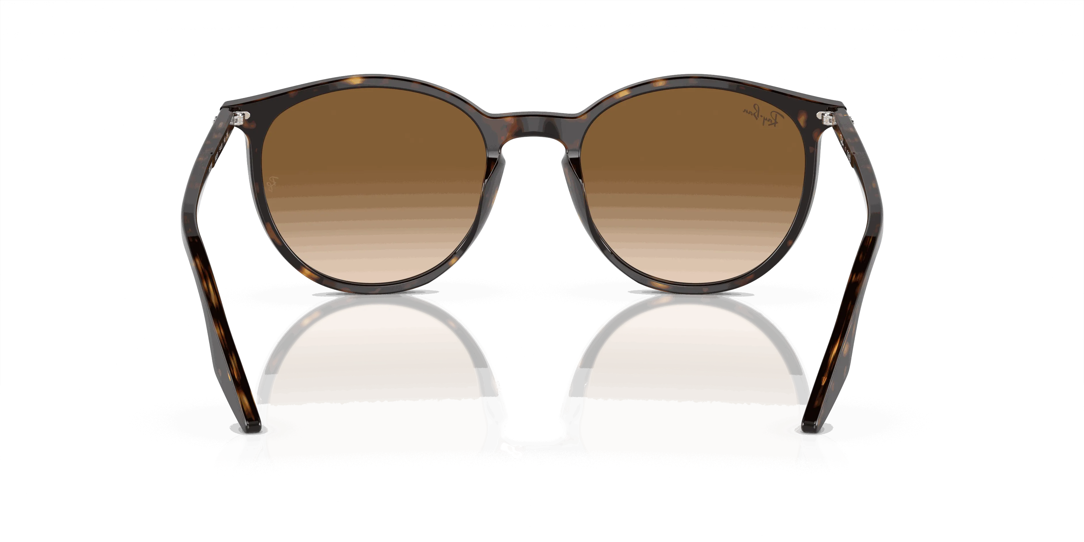 RayBan RB2204