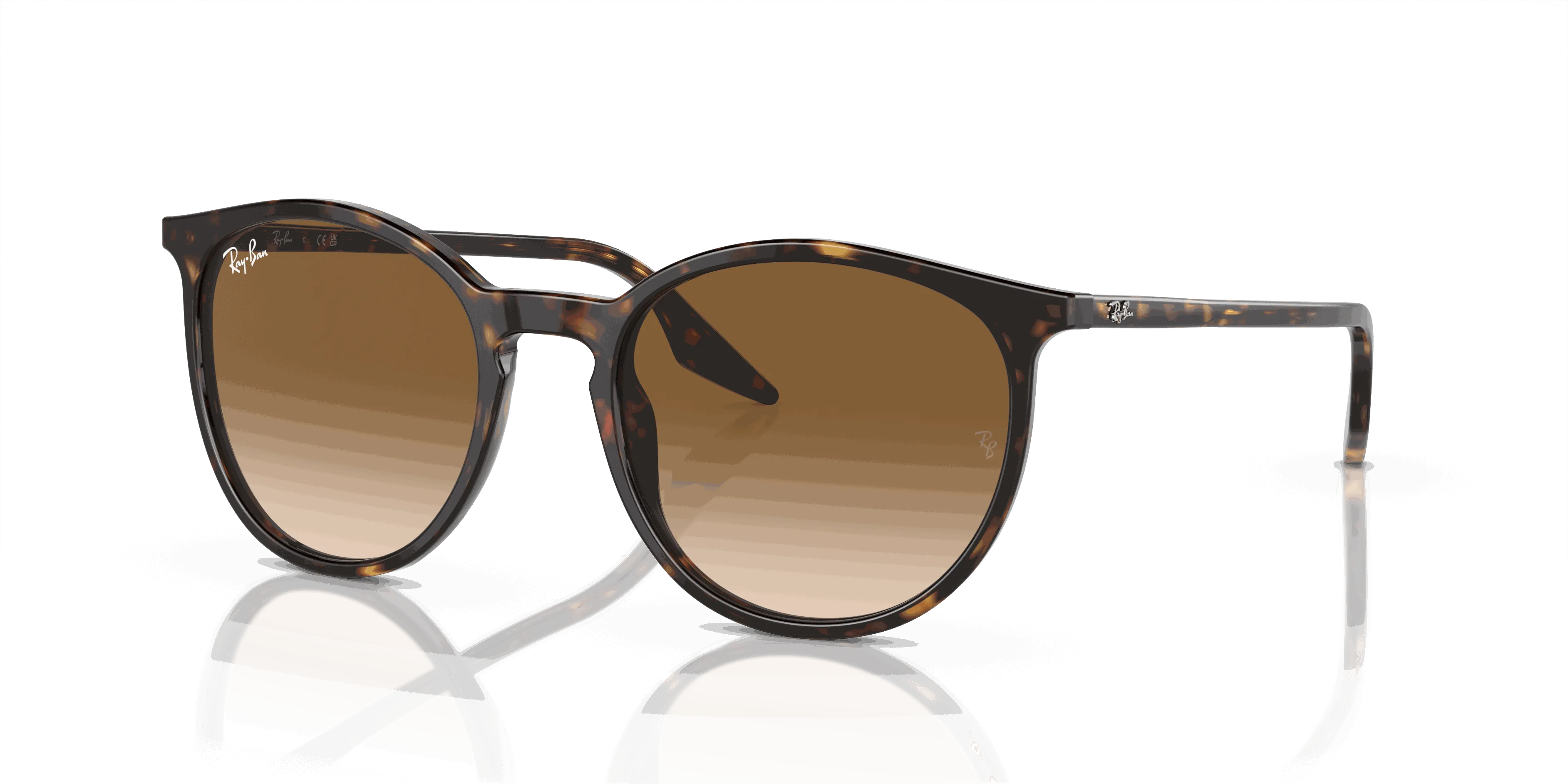 RayBan RB2204