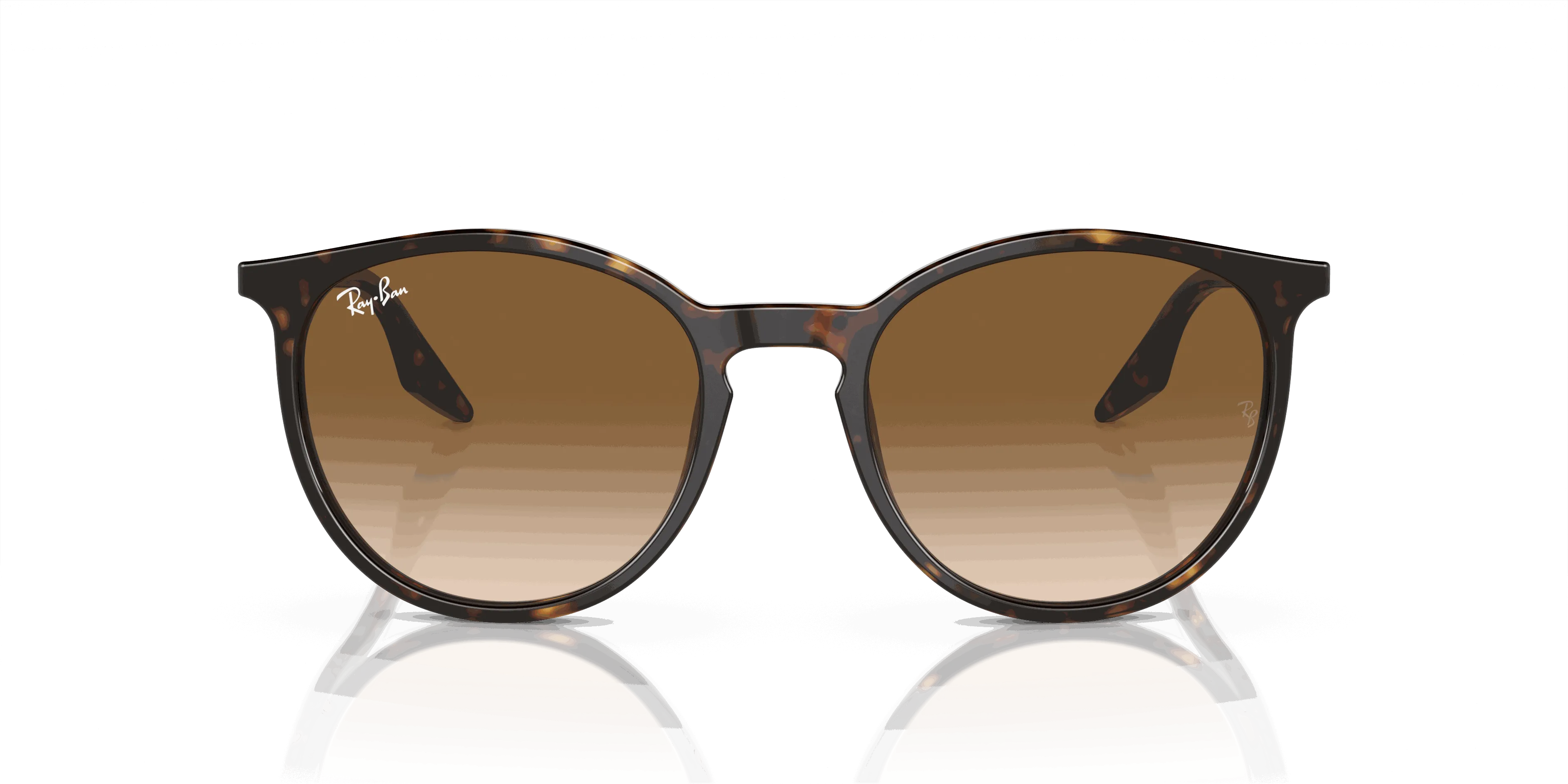 RayBan RB2204