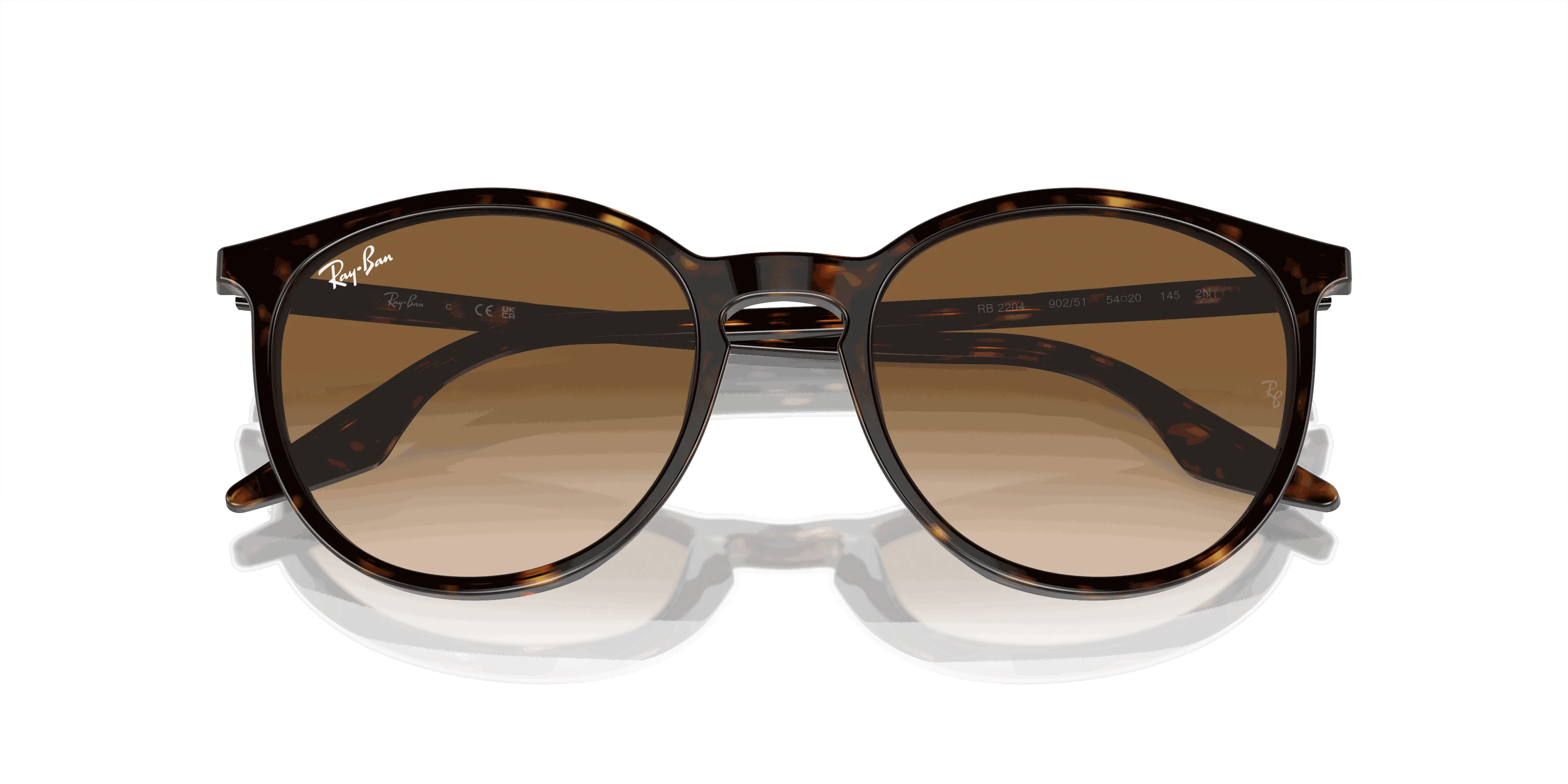 RayBan RB2204