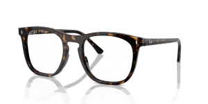 RayBan RB2210V OPTICS